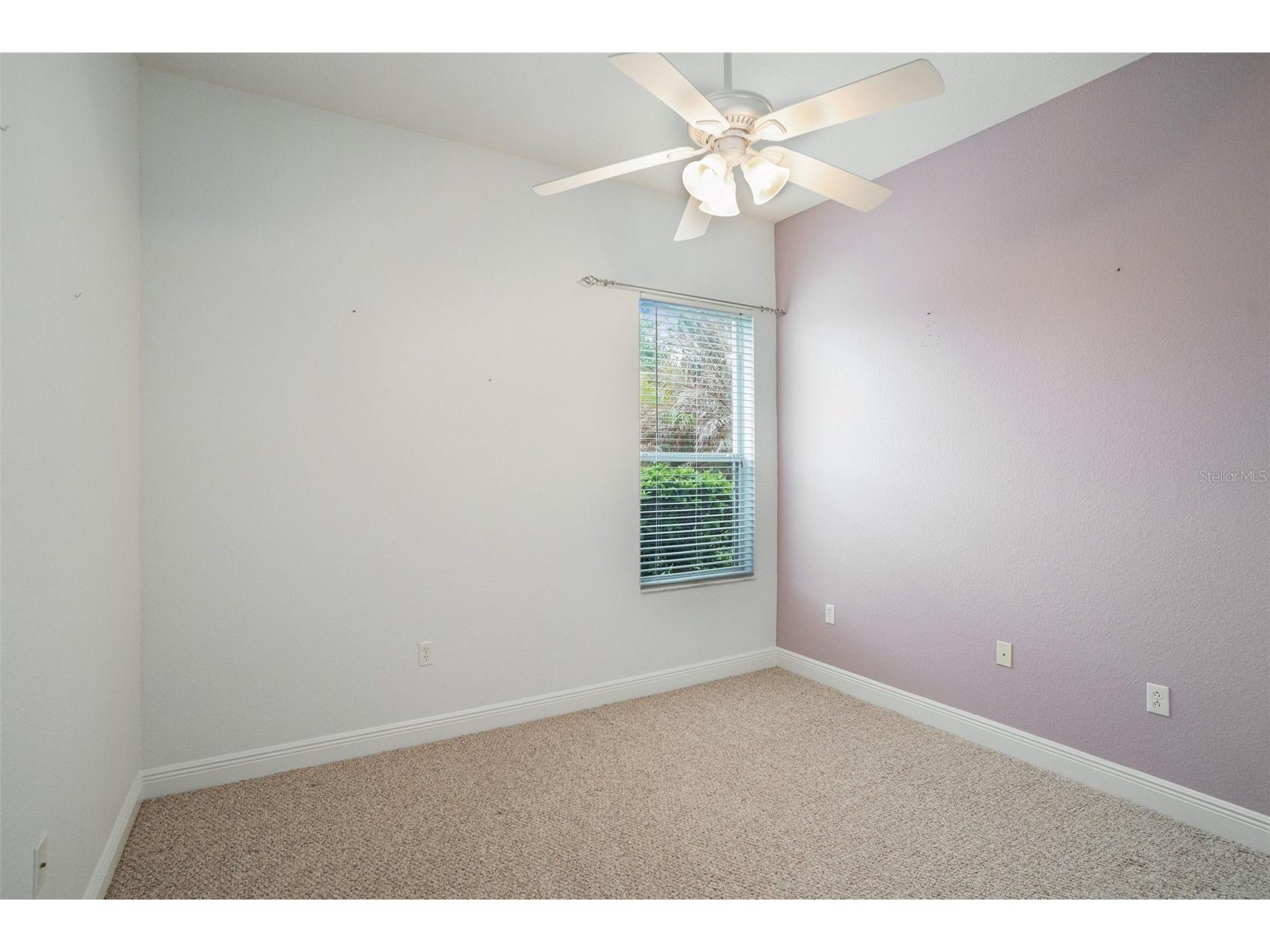 9916 Cleghorn Drive San Antonio FL 33576 TB8486812 image17