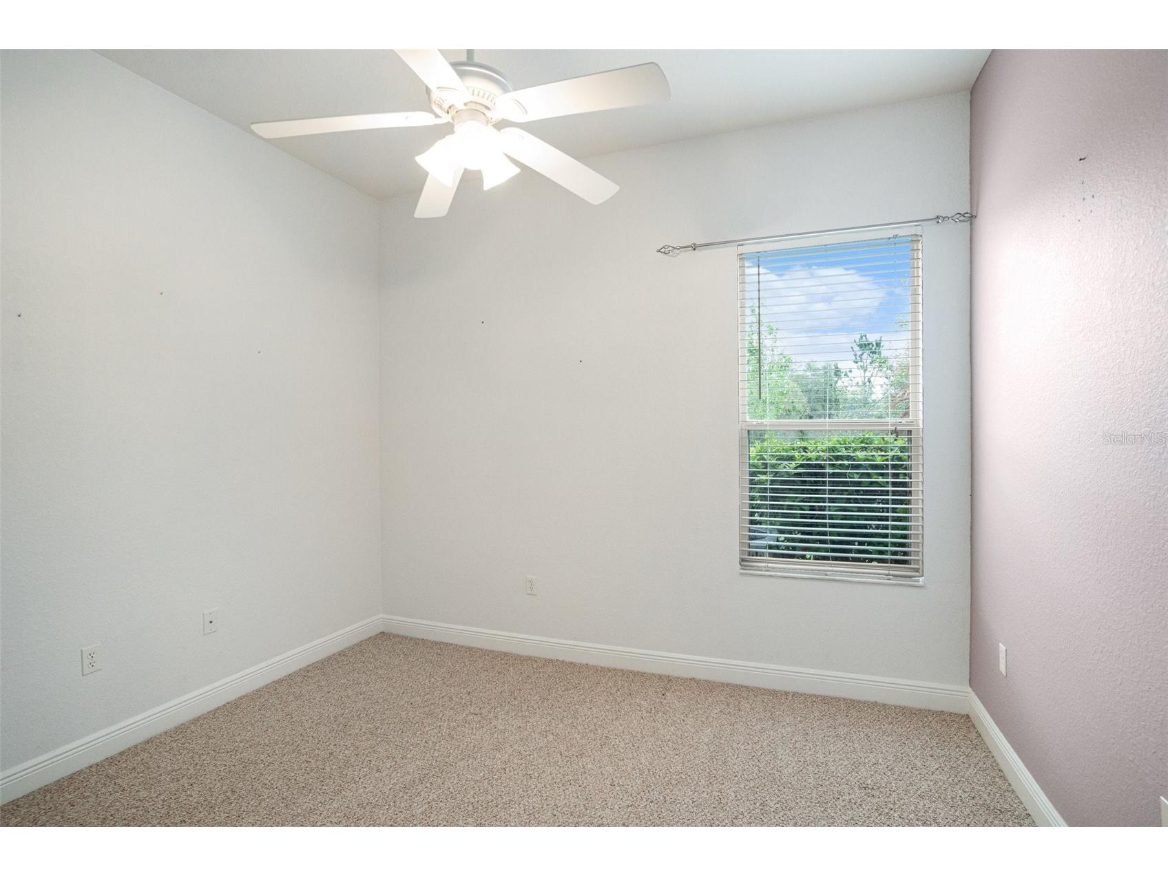 9916 Cleghorn Drive San Antonio FL 33576 TB8486812 image18