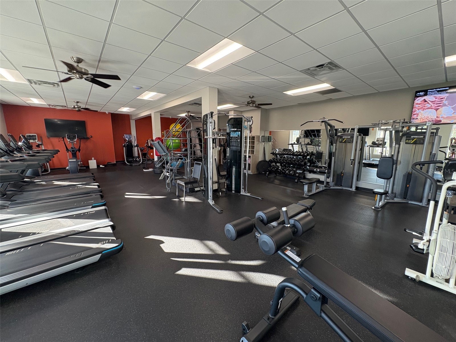 9916 Cleghorn Drive San Antonio FL 33576 TB8486812 image28