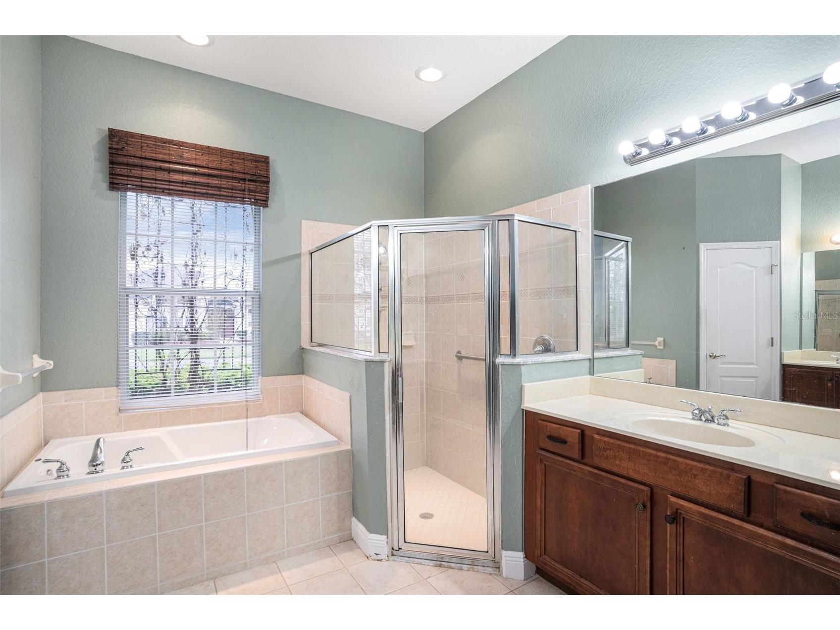 9916 Cleghorn Drive San Antonio FL 33576 TB8486812 image9