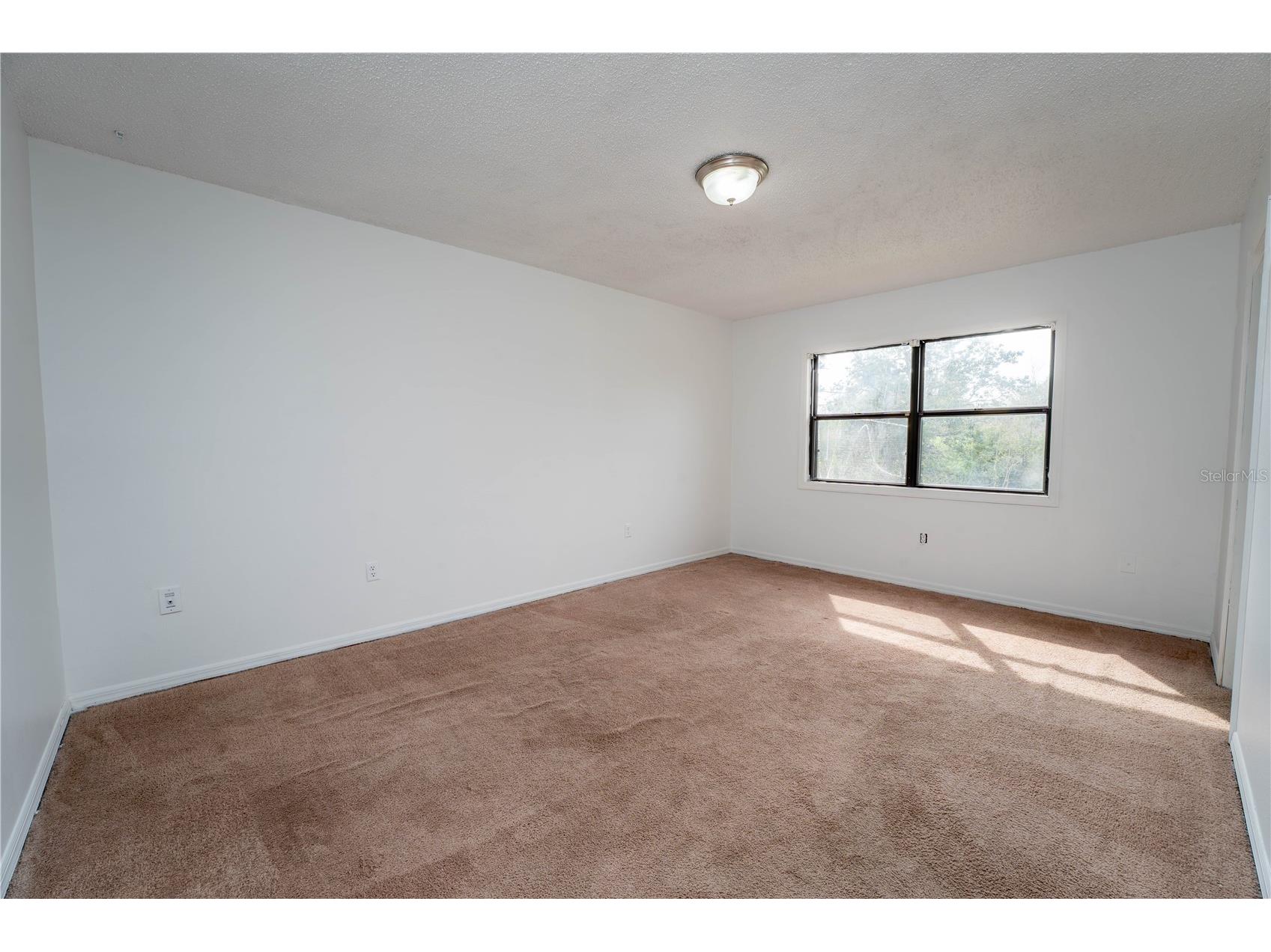 9916 Jackson Road Leesburg FL 34788 S5122563 image29