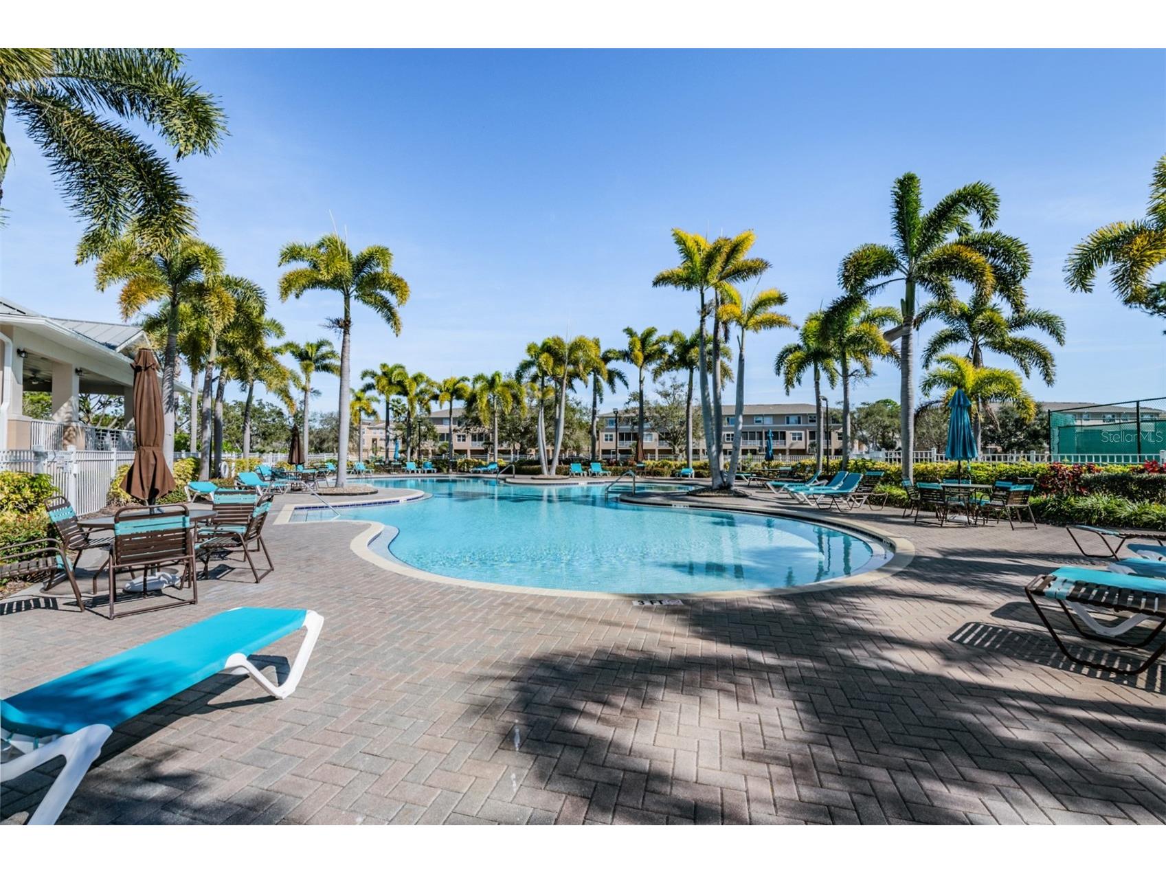 9916 Key Haven Road Seminole FL 33777 TB8467775 image32