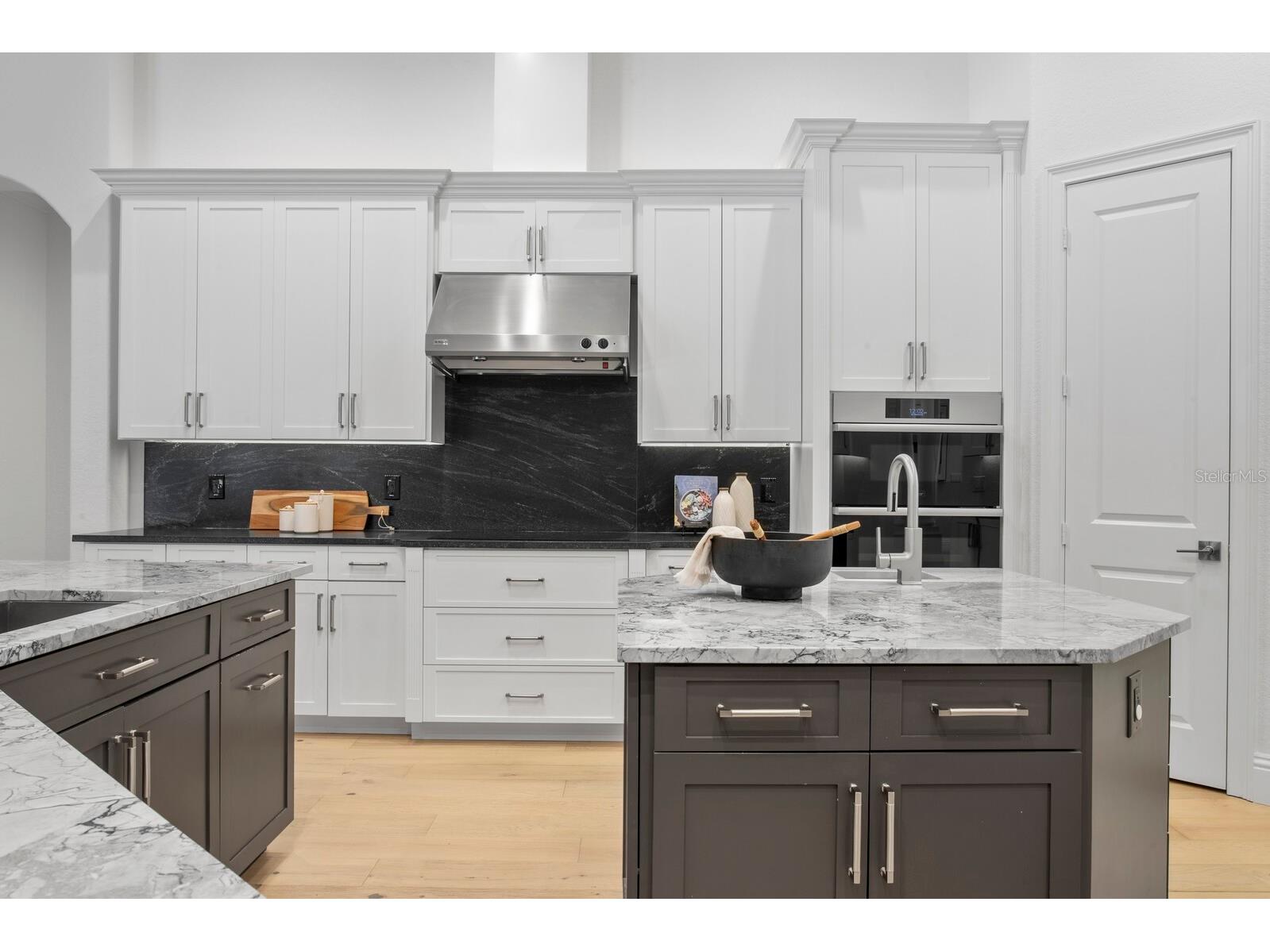 9916 Menander Wood Court Odessa FL 33556 - LAKE PRETTY TB8476204 image22