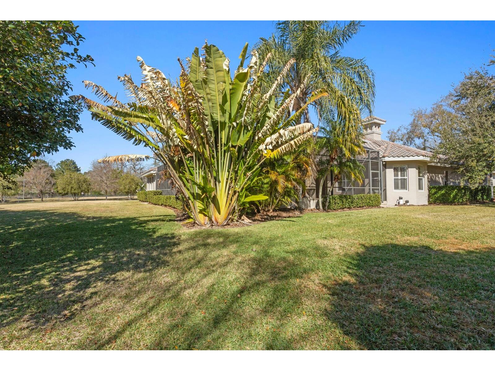 9916 Menander Wood Court Odessa FL 33556 - LAKE PRETTY TB8476204 image59