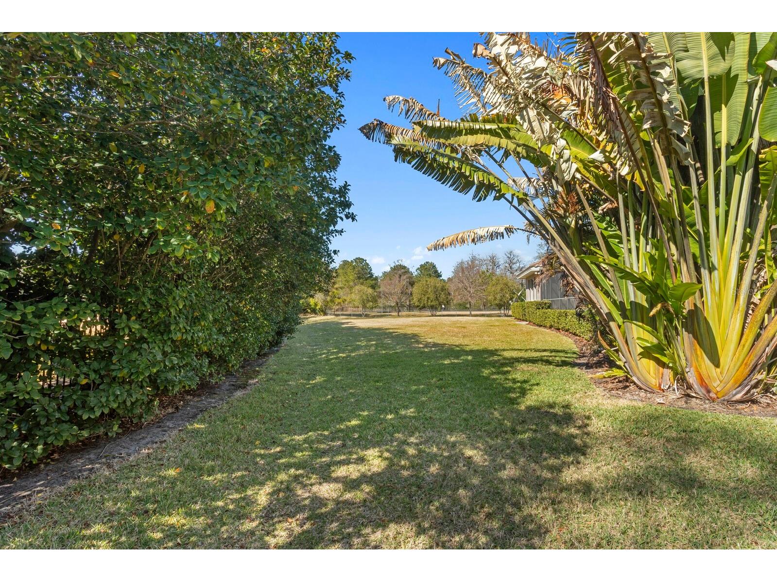 9916 Menander Wood Court Odessa FL 33556 - LAKE PRETTY TB8476204 image60