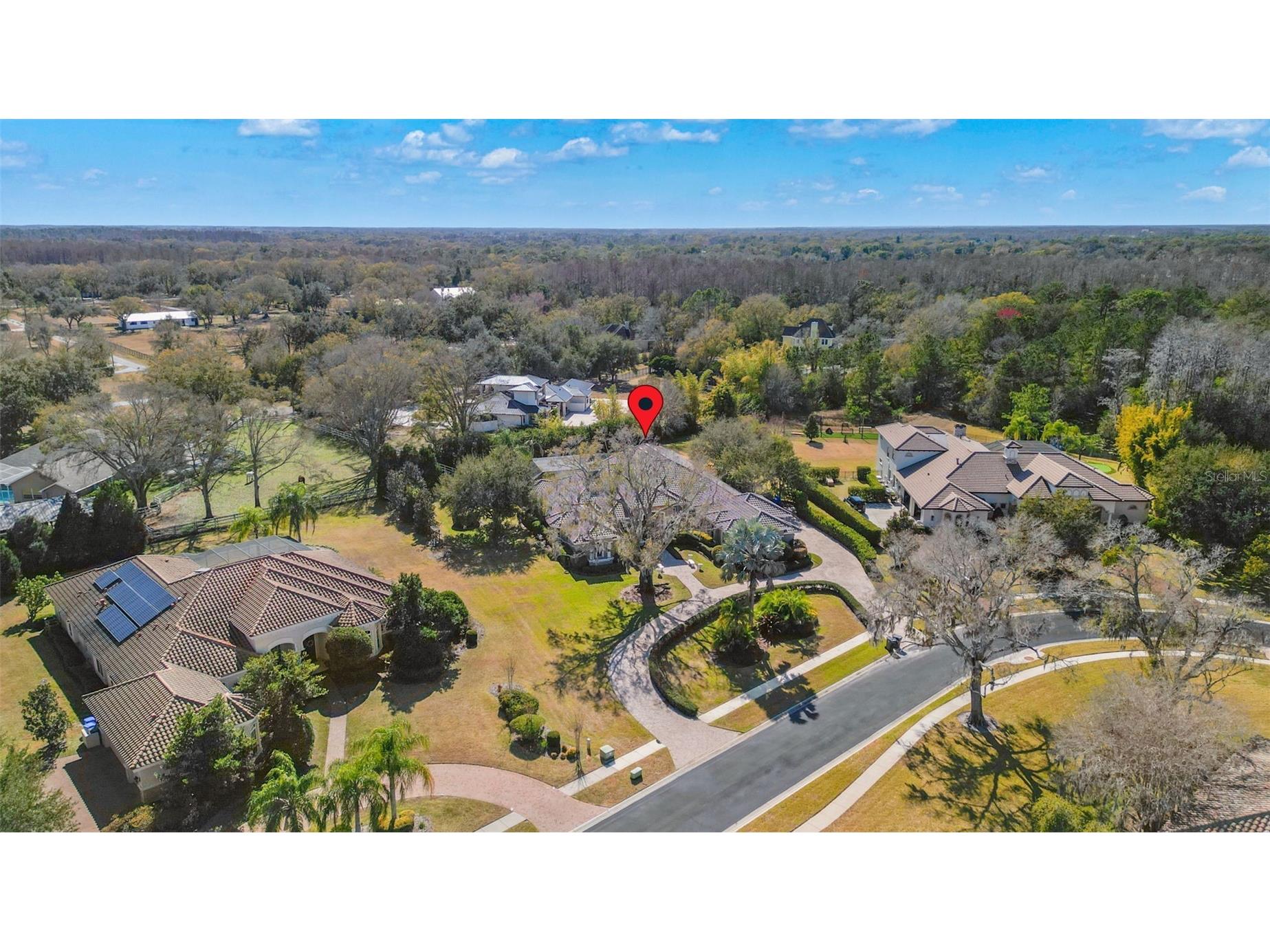 9916 Menander Wood Court Odessa FL 33556 - LAKE PRETTY TB8476204 image73