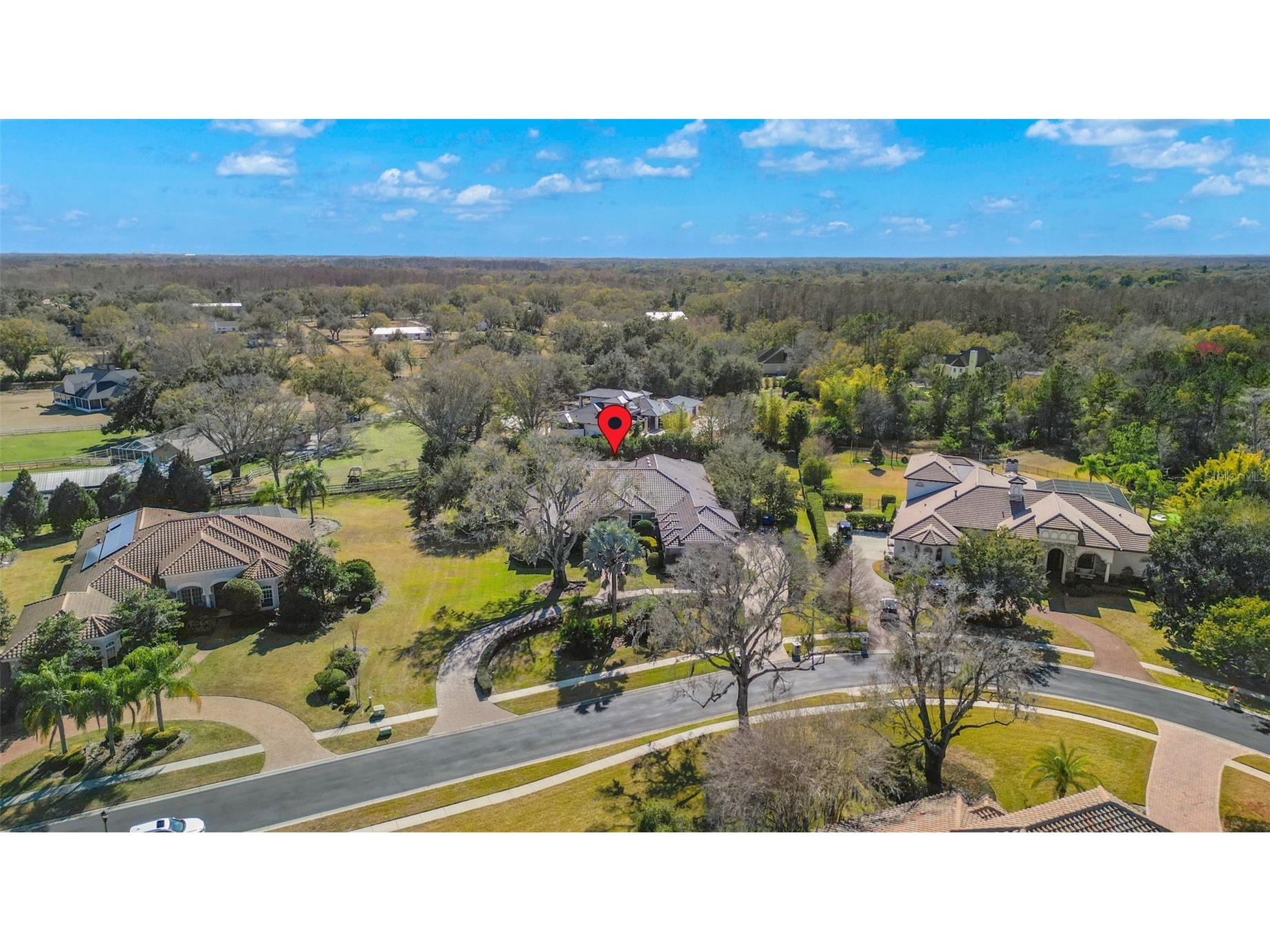 9916 Menander Wood Court Odessa FL 33556 - LAKE PRETTY TB8476204 image74