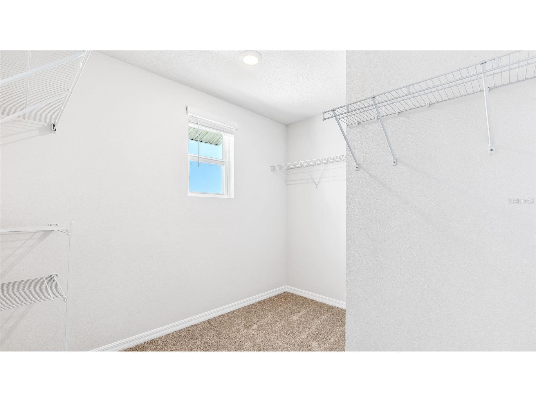 9916 Wimico Terrace Parrish FL 34219 A4688876 image20