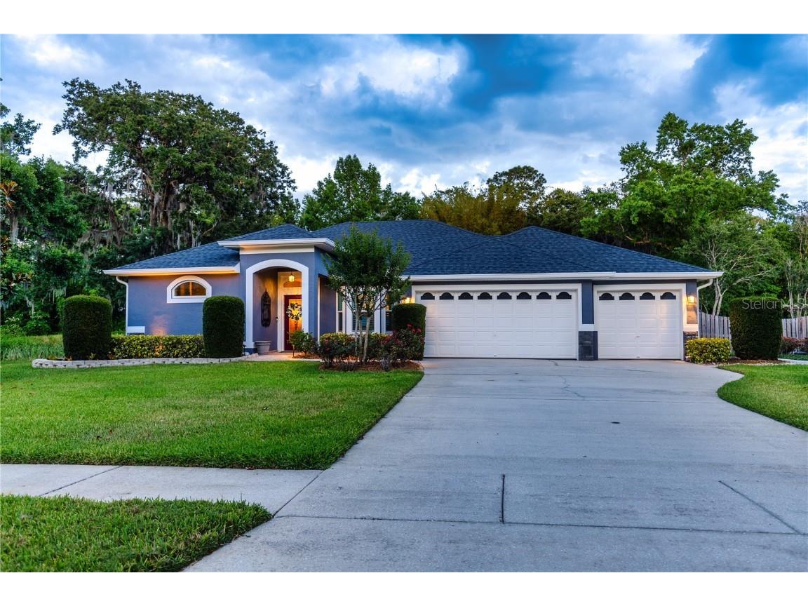 9917 Country Carriage Circle Riverview FL 33569 T3522790 image1