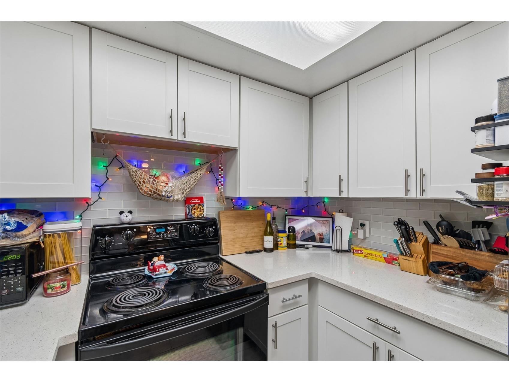9917 Lake Drive New Port Richey FL 34654 TB8493046 image13