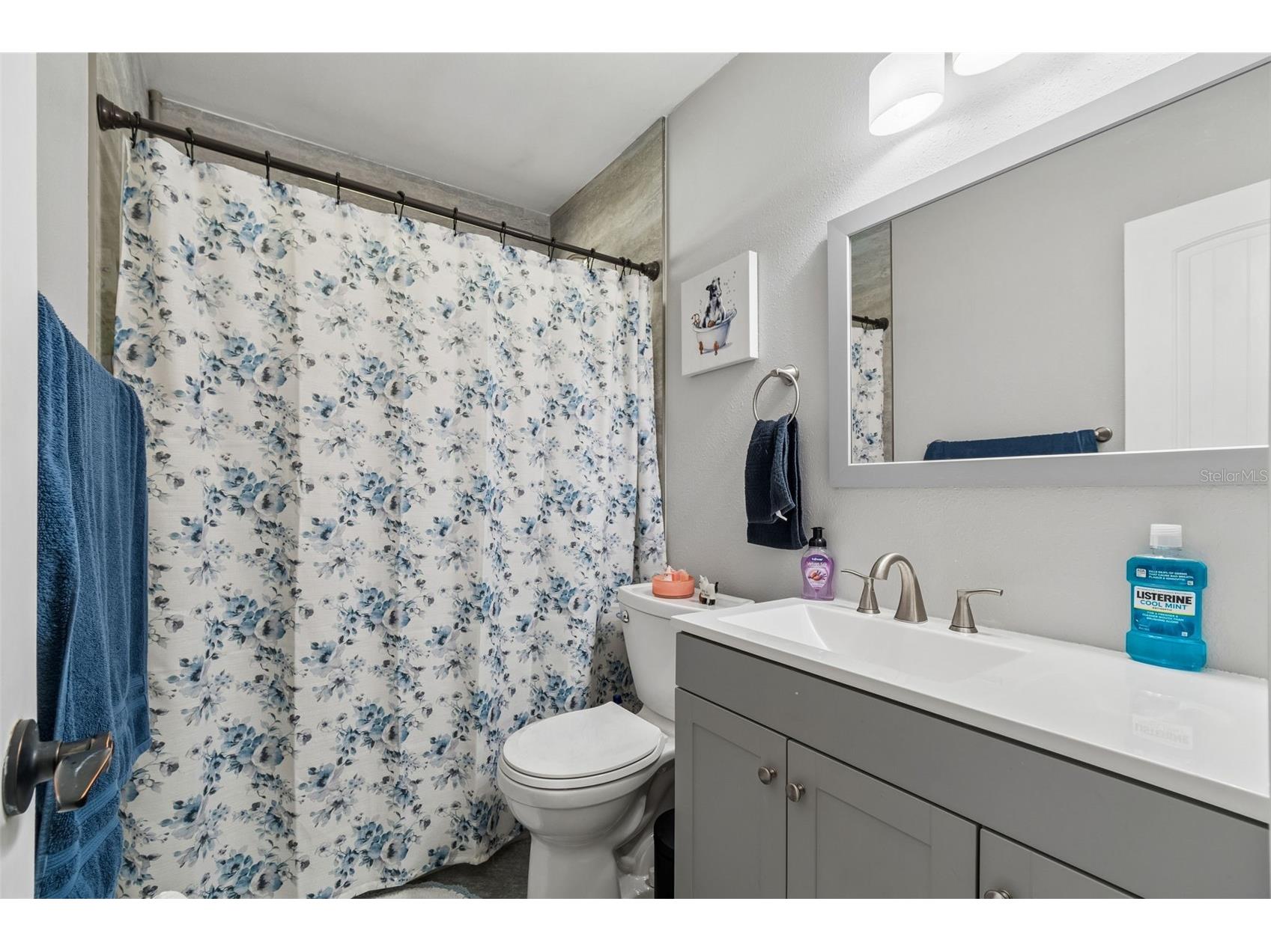 9917 Lake Drive New Port Richey FL 34654 TB8493046 image18
