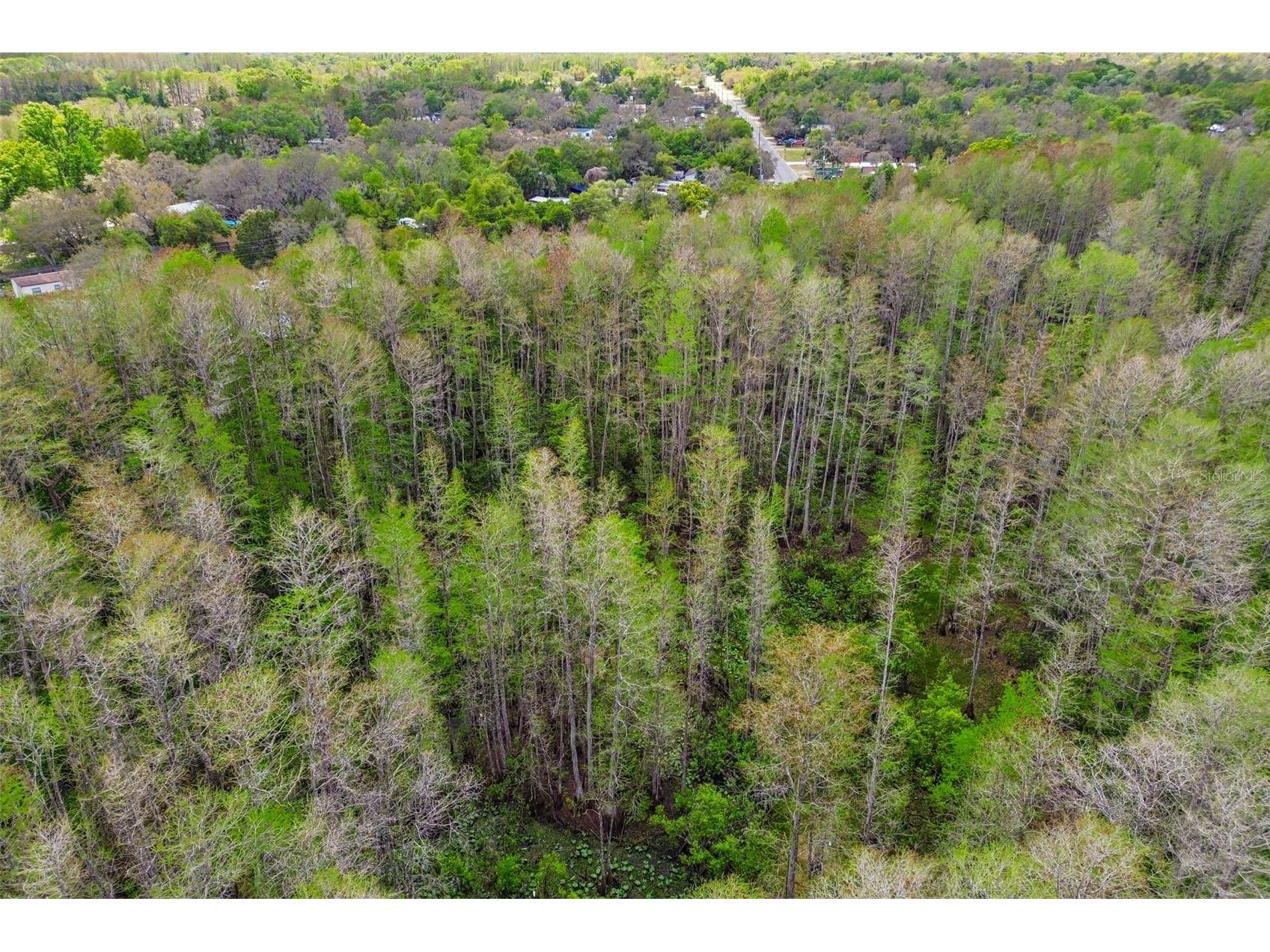 9917 Lake Drive New Port Richey FL 34654 TB8493046 image46
