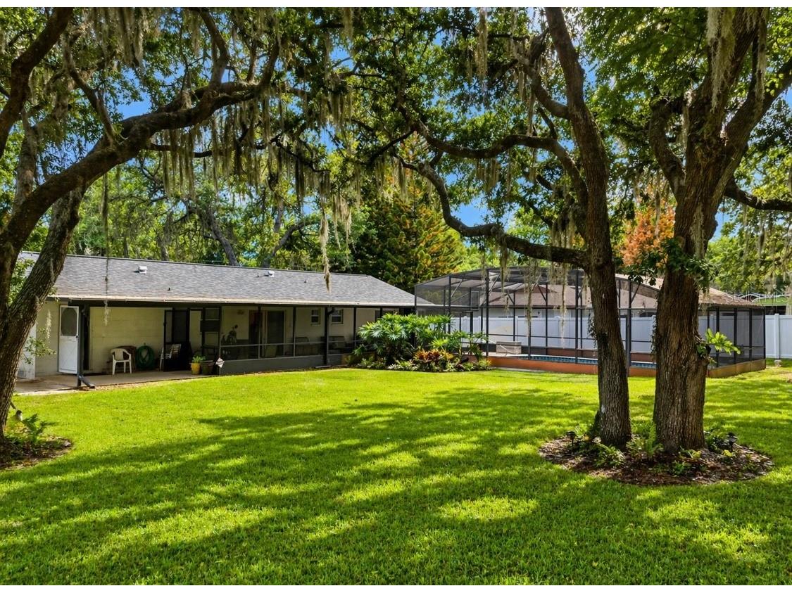 9917 Nicoma Lane Orlando FL 32817 O6401245 image10