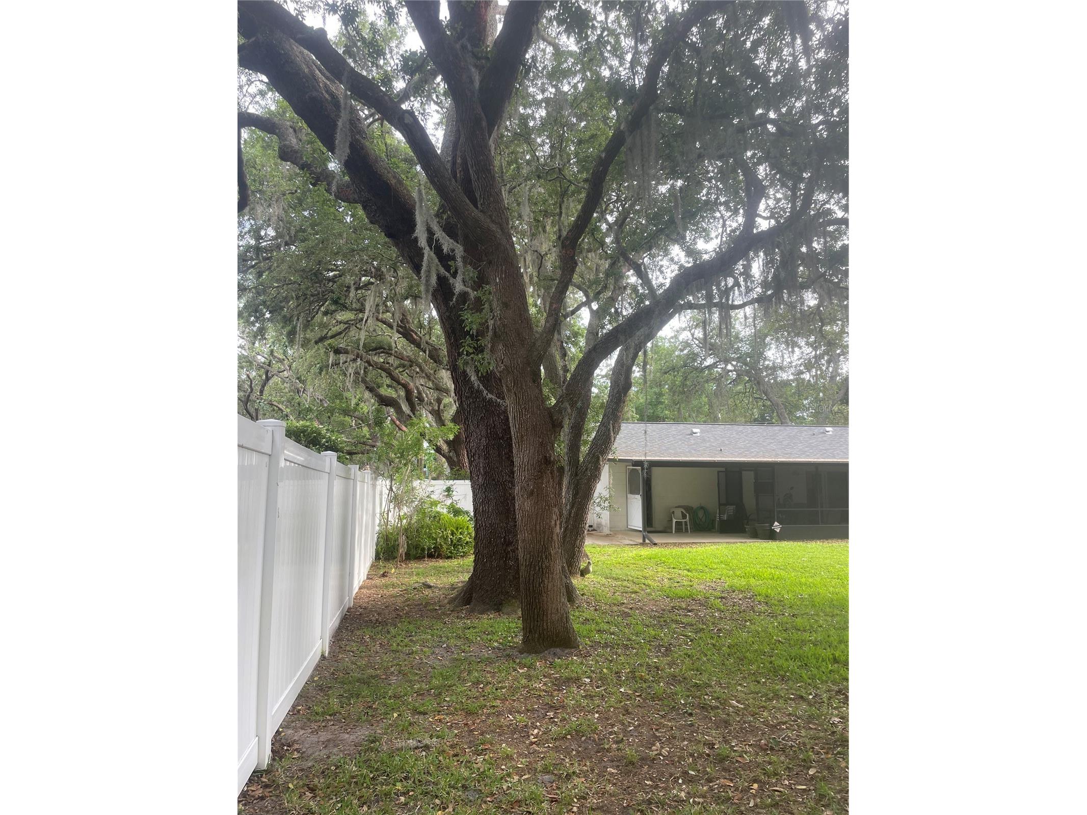 9917 Nicoma Lane Orlando FL 32817 O6401245 image41