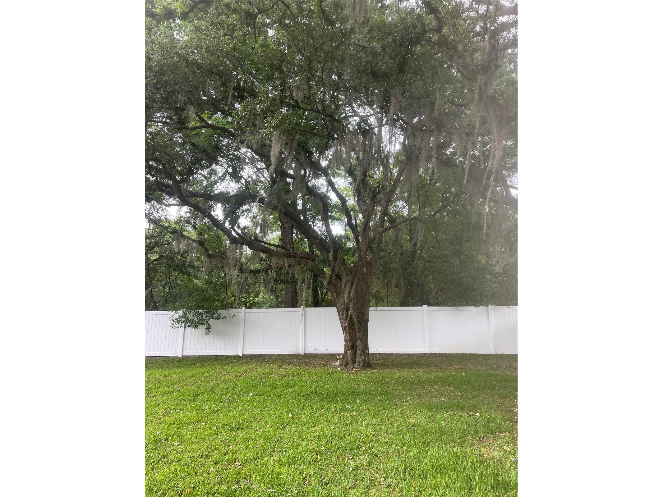 9917 Nicoma Lane Orlando FL 32817 O6401245 image42