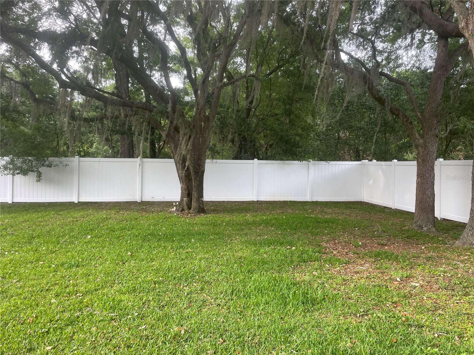 9917 Nicoma Lane Orlando FL 32817 O6401245 image43