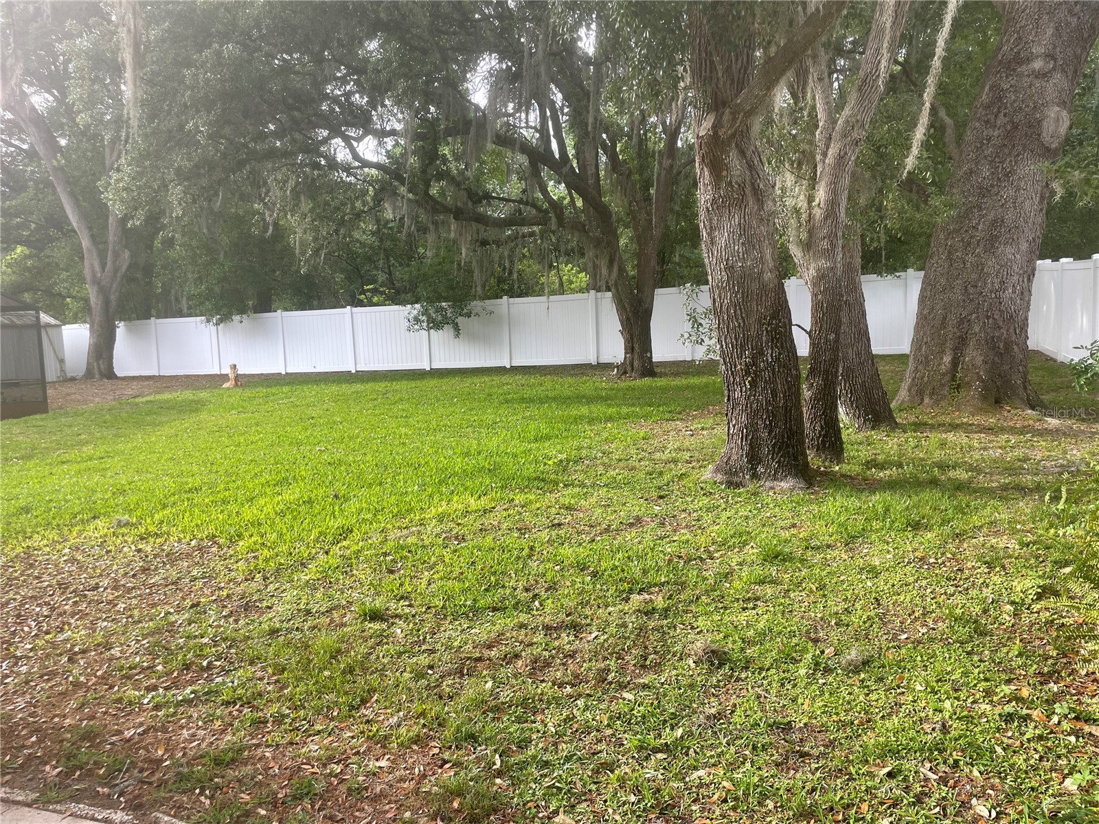 9917 Nicoma Lane Orlando FL 32817 O6401245 image45
