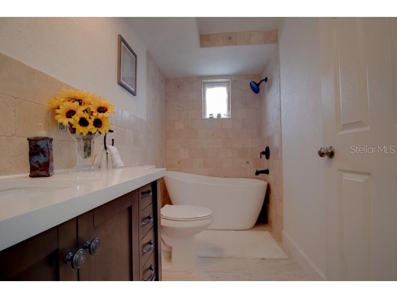 9917 San Sierra Way Port Richey FL 34668 TB8395617 image16