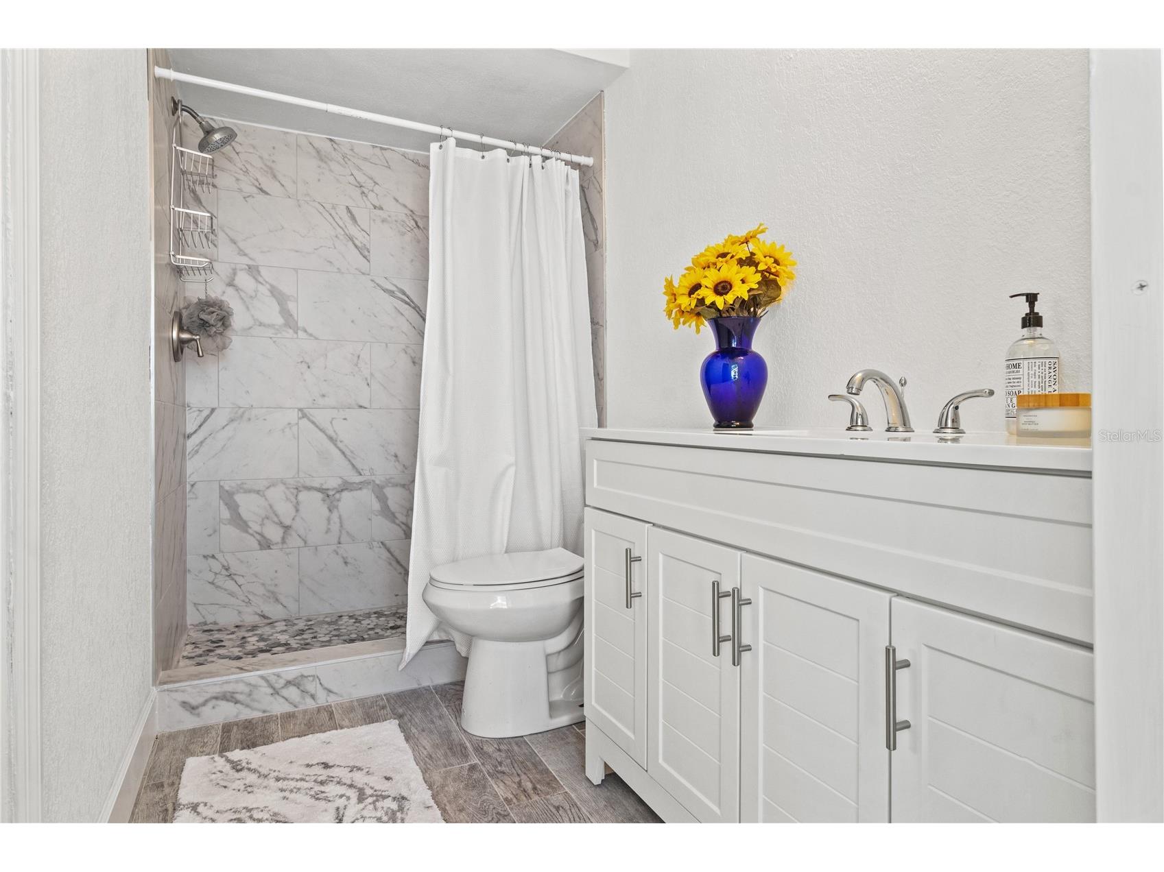 9917 San Sierra Way Port Richey FL 34668 TB8395617 image19