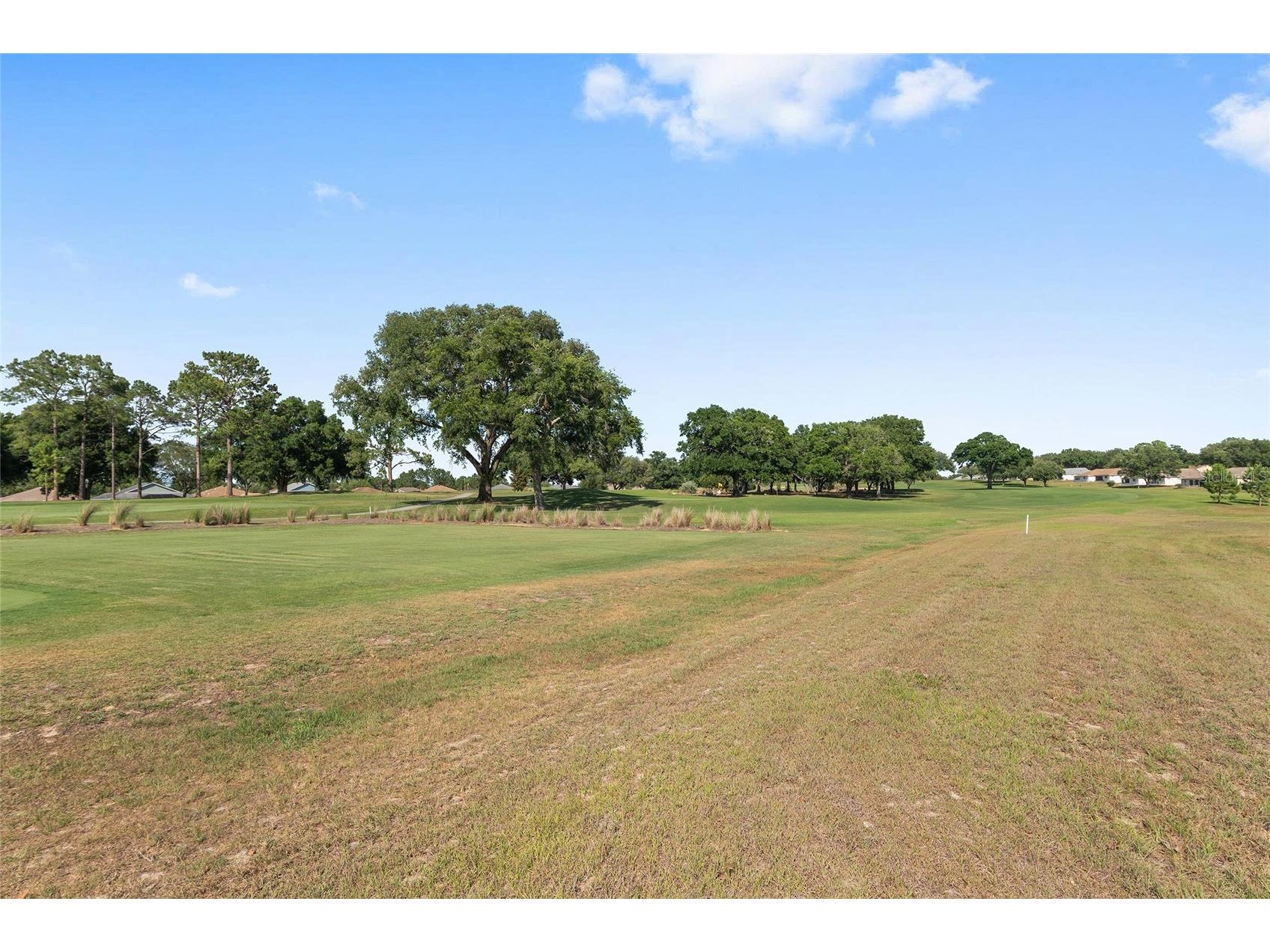 9917 SW 96th Street Ocala FL 34481 OM724407 image63