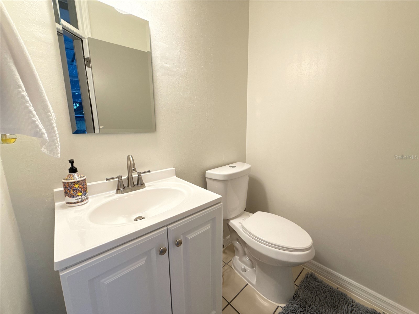9918 Bay Vista Estates Boulevard Orlando FL 32836 O6418495 image27