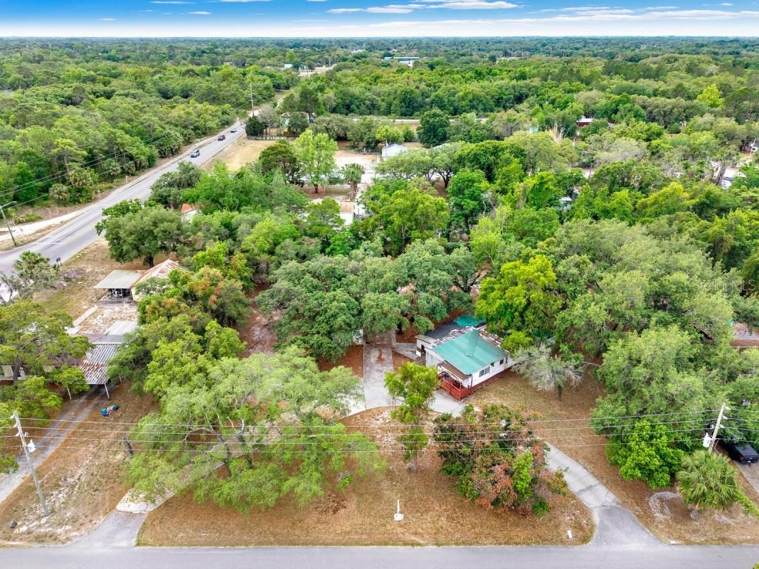 9918 Fargo Drive Hudson FL 34667 A4692365 image5