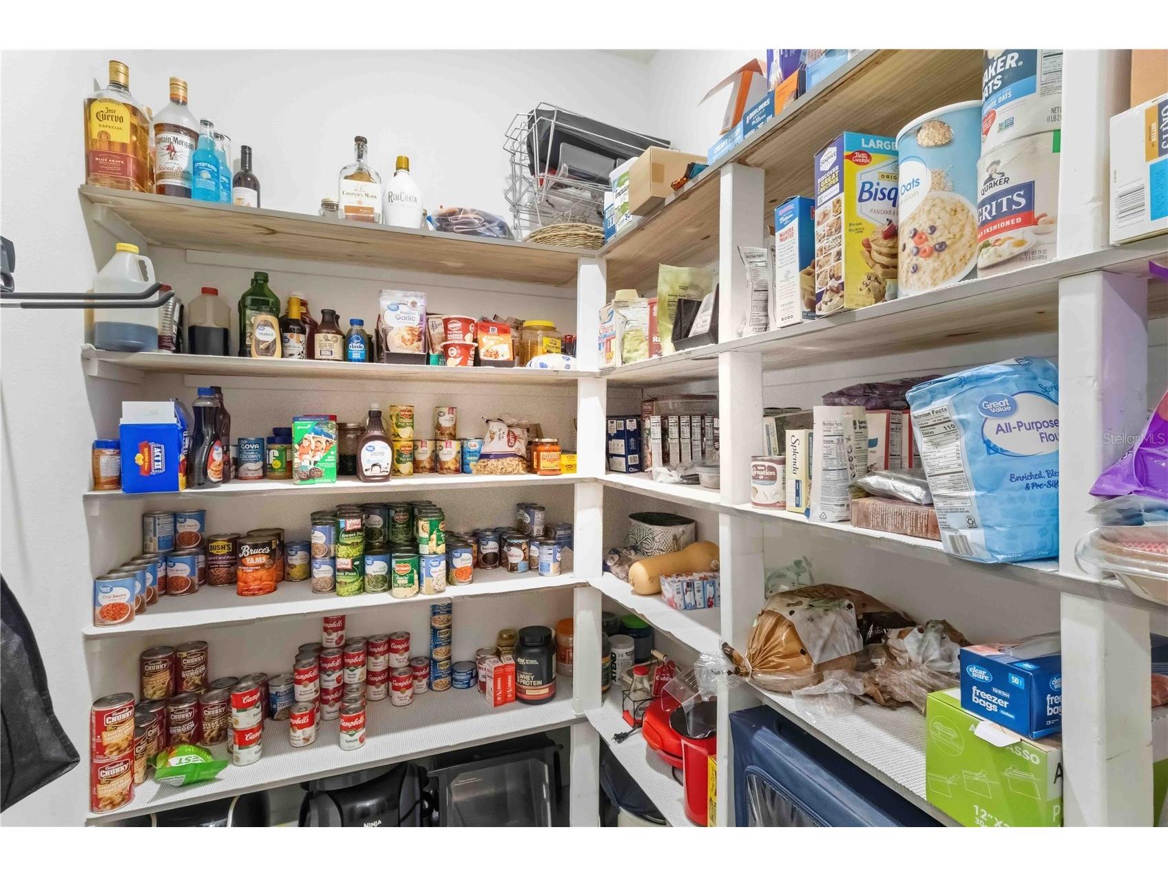 9918 Ivory Drive Ruskin FL 33573 TB8511140 image11