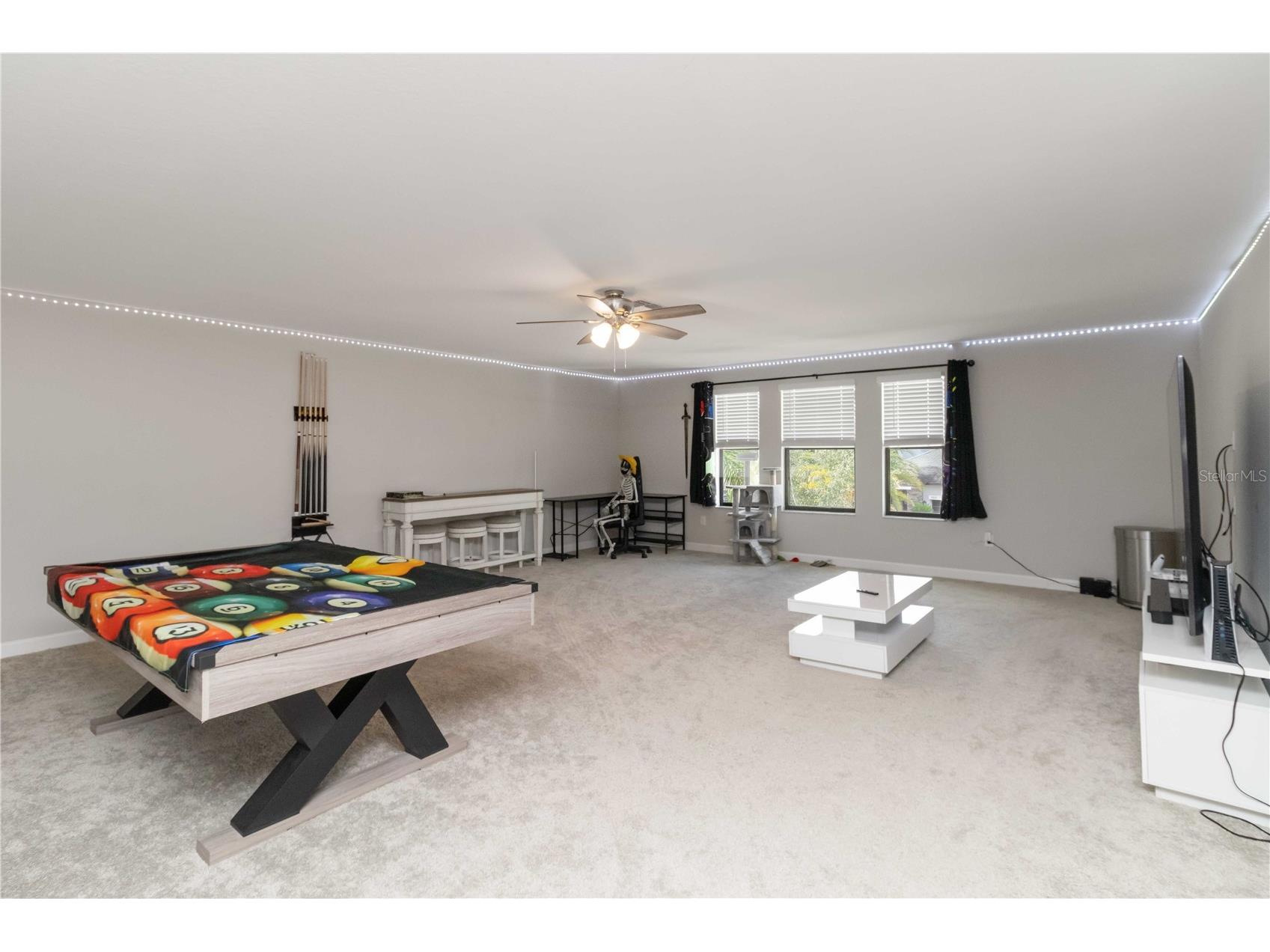 9918 Ivory Drive Ruskin FL 33573 TB8511140 image18