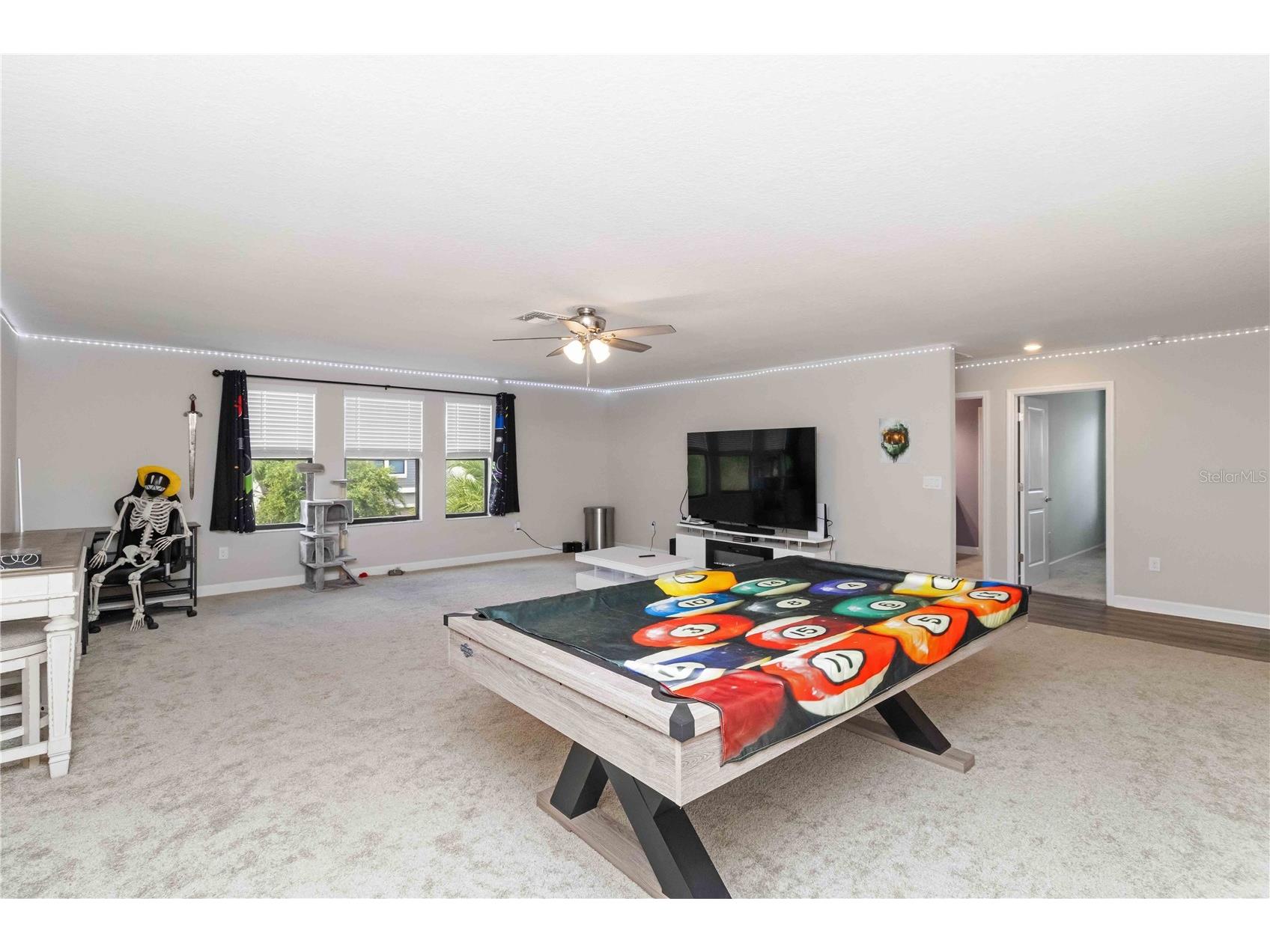 9918 Ivory Drive Ruskin FL 33573 TB8511140 image20