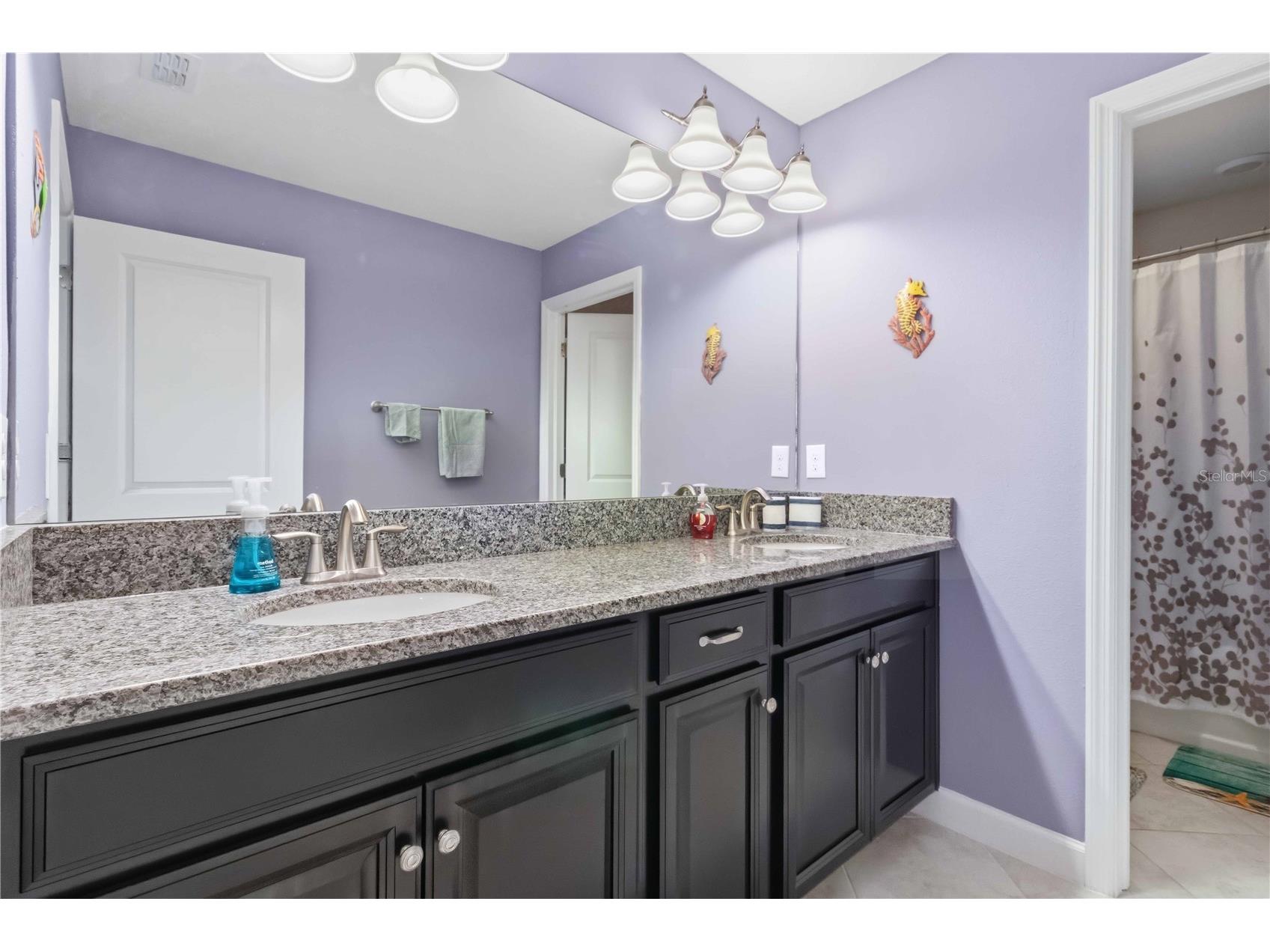 9918 Ivory Drive Ruskin FL 33573 TB8511140 image22