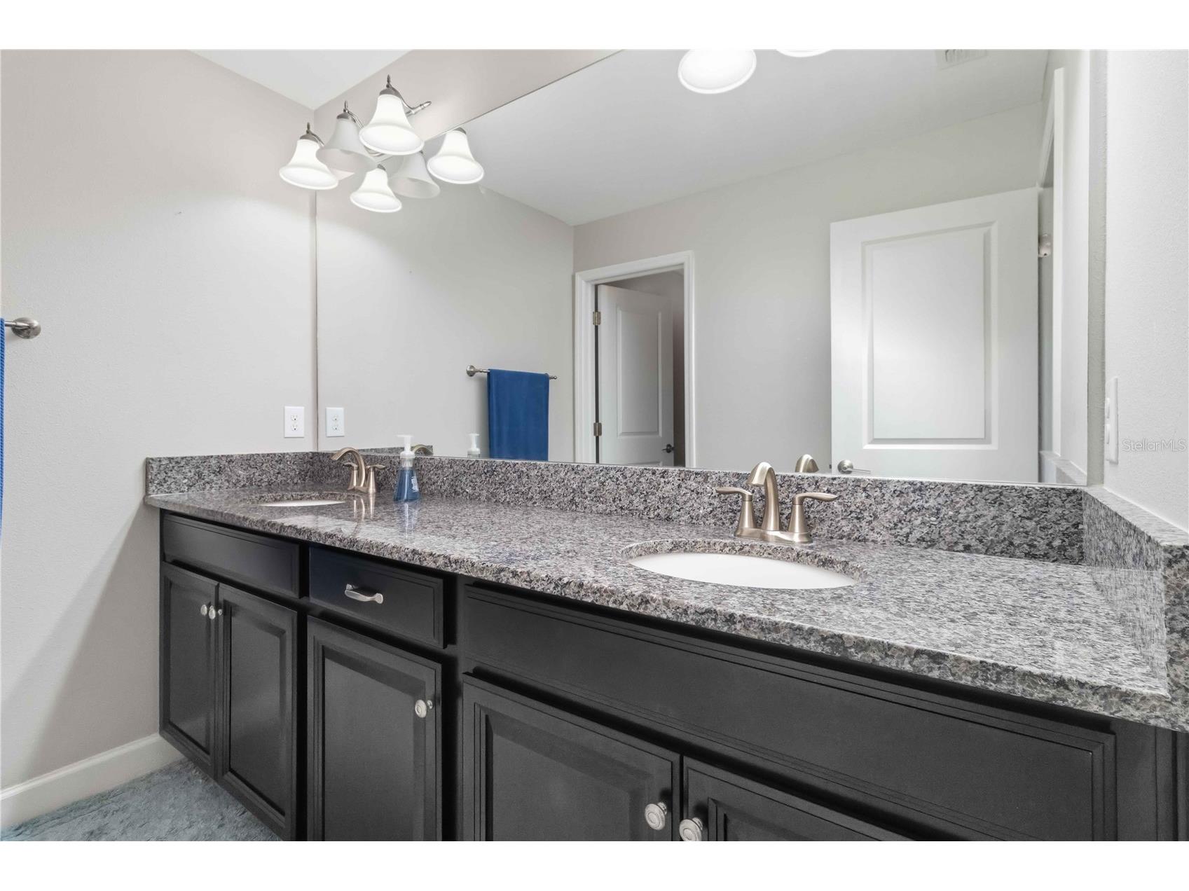9918 Ivory Drive Ruskin FL 33573 TB8511140 image24