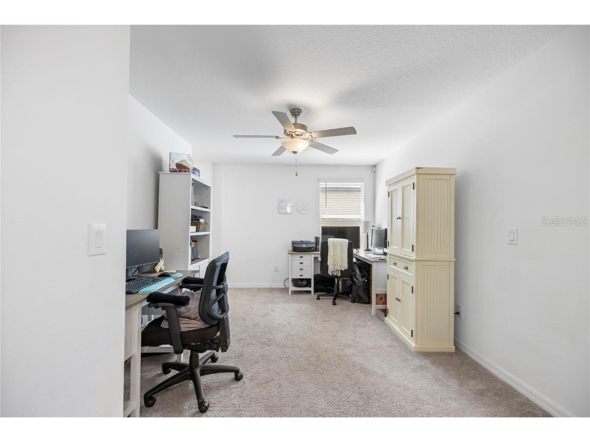 9919 Aqua Miles Path Wesley Chapel FL 33545 TB8434533 image19