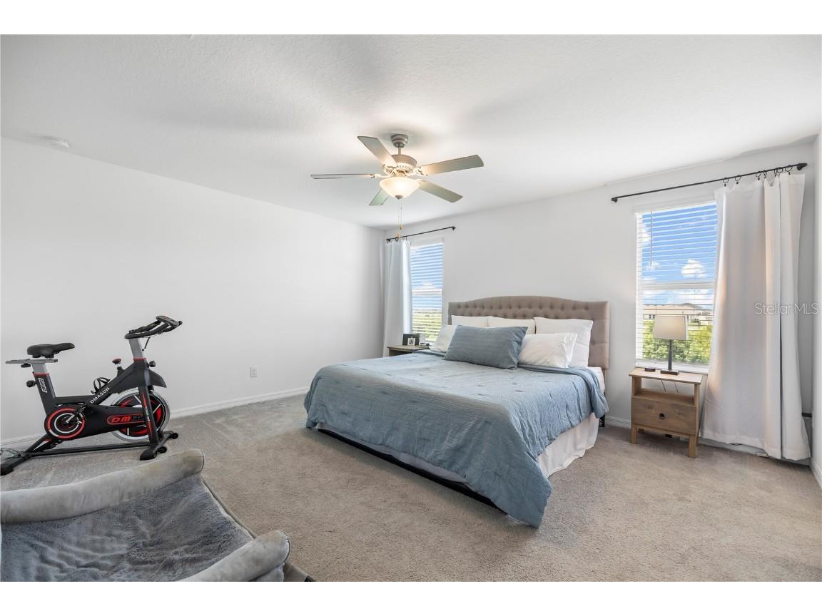 9919 Aqua Miles Path Wesley Chapel FL 33545 TB8434533 image20