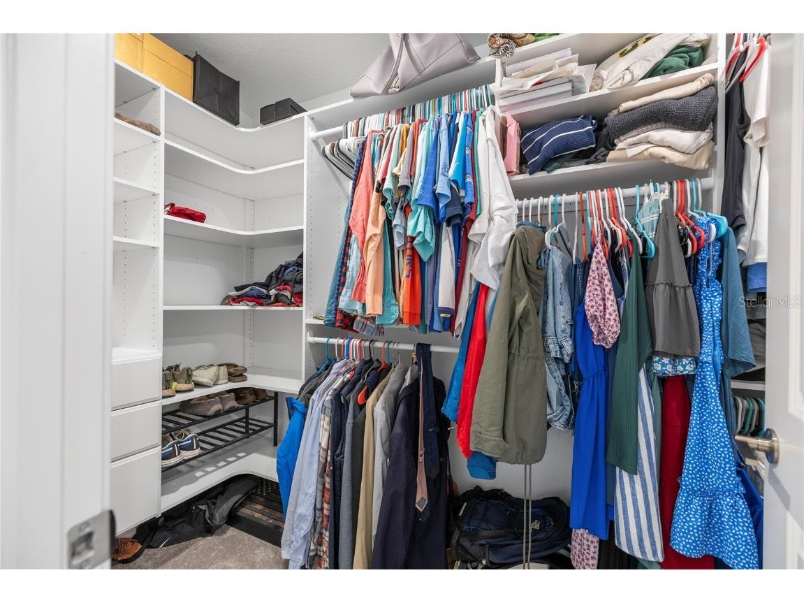 9919 Aqua Miles Path Wesley Chapel FL 33545 TB8434533 image25