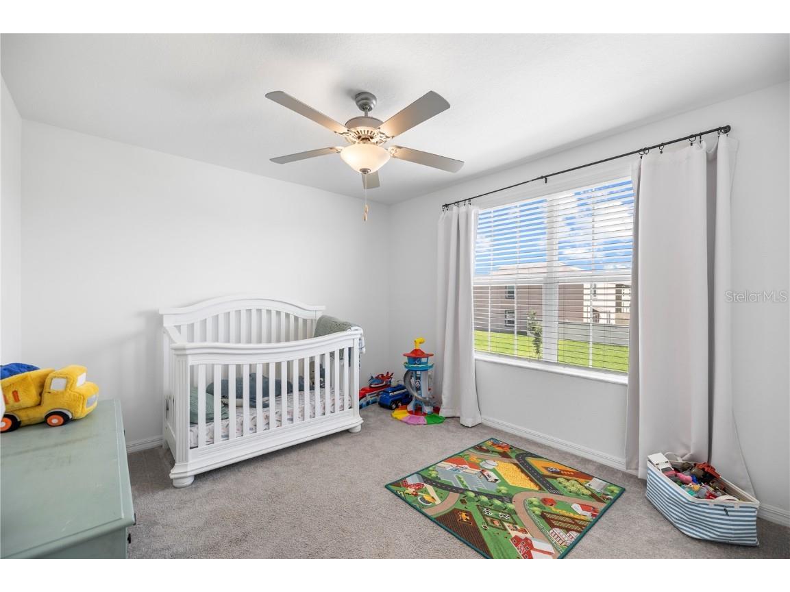 9919 Aqua Miles Path Wesley Chapel FL 33545 TB8434533 image27