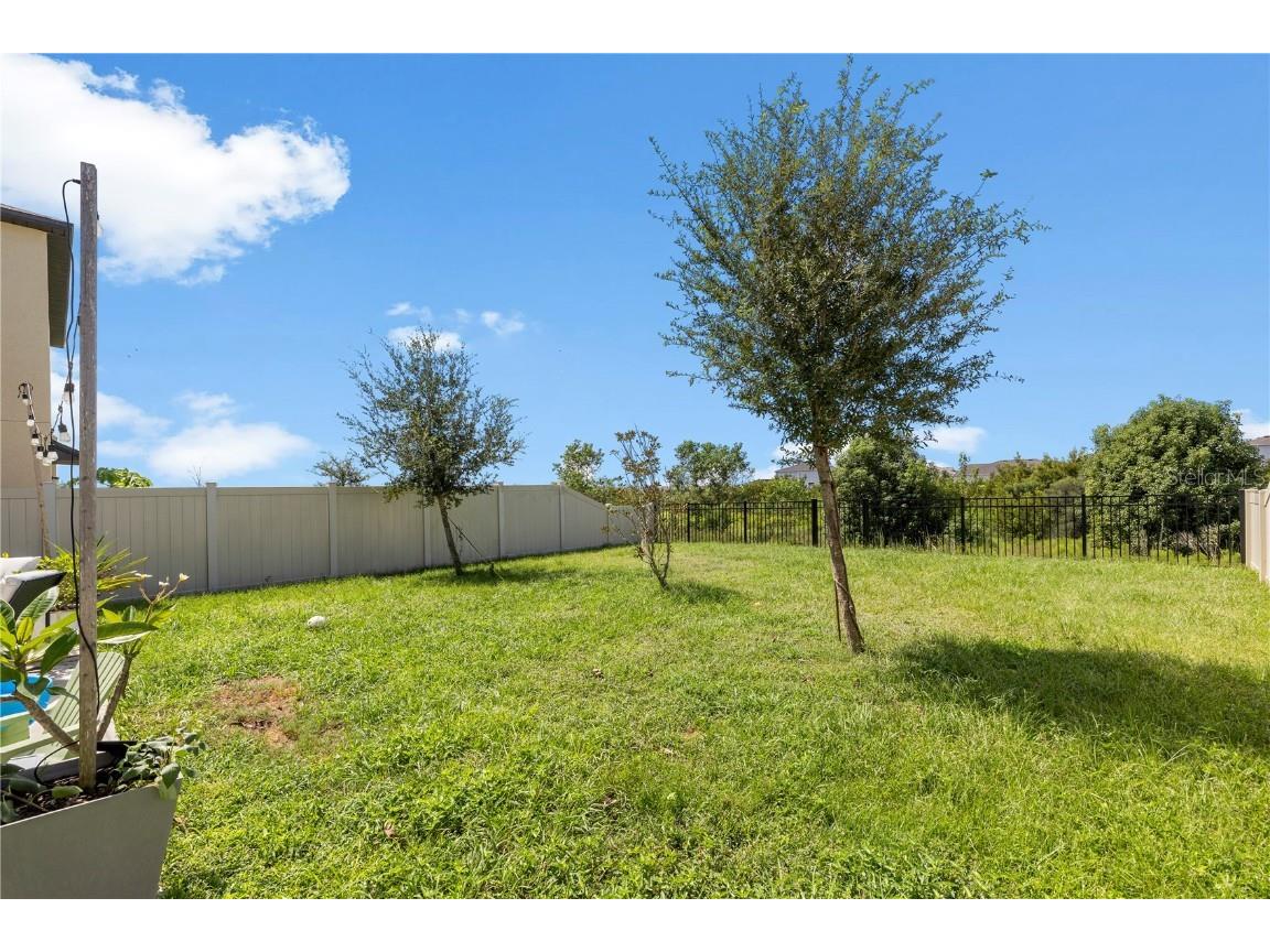 9919 Aqua Miles Path Wesley Chapel FL 33545 TB8434533 image38