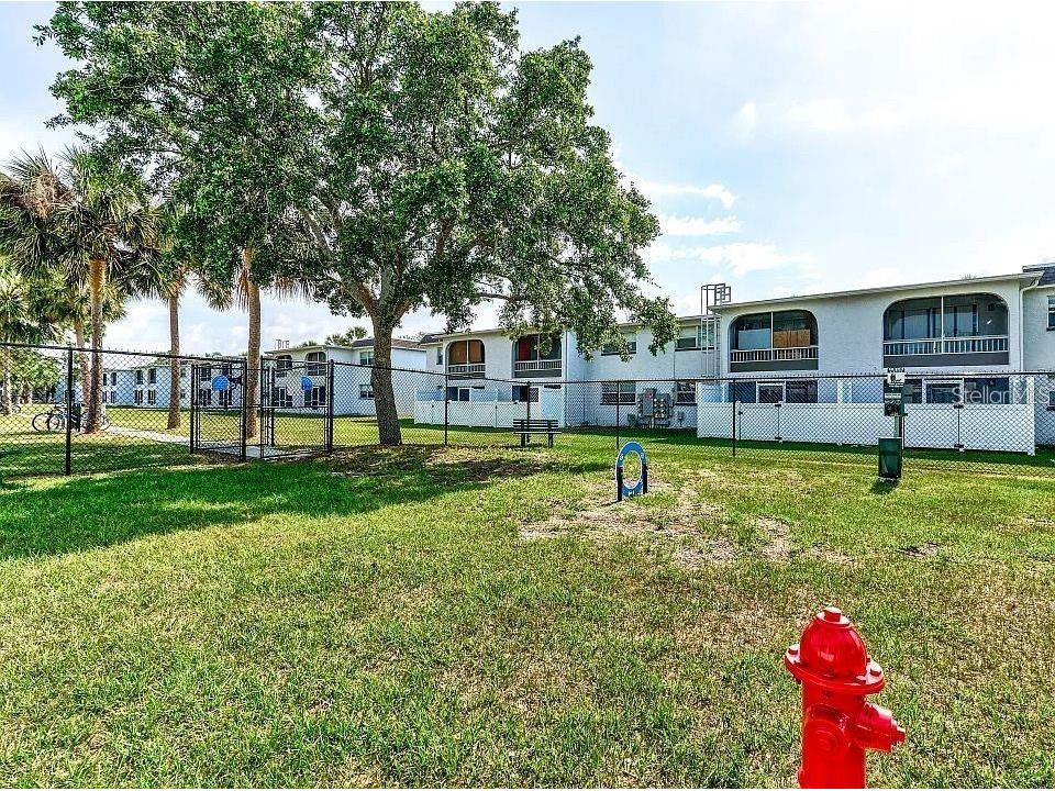 9919 Aquarius Drive #1 Port Richey FL 34668 TB8451013 image25
