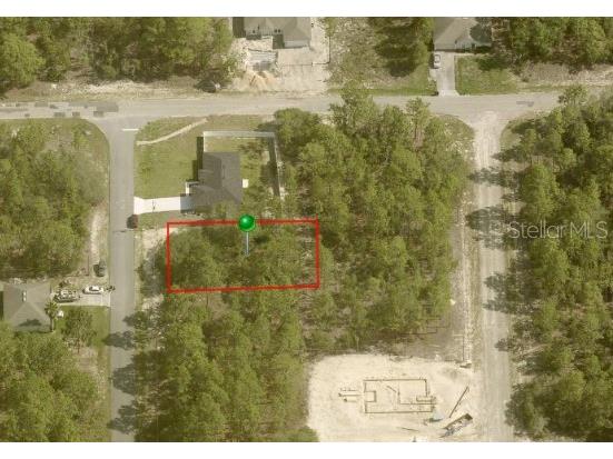 9919 N Santee Terrace Citrus Springs FL 34434 OM675772 image1