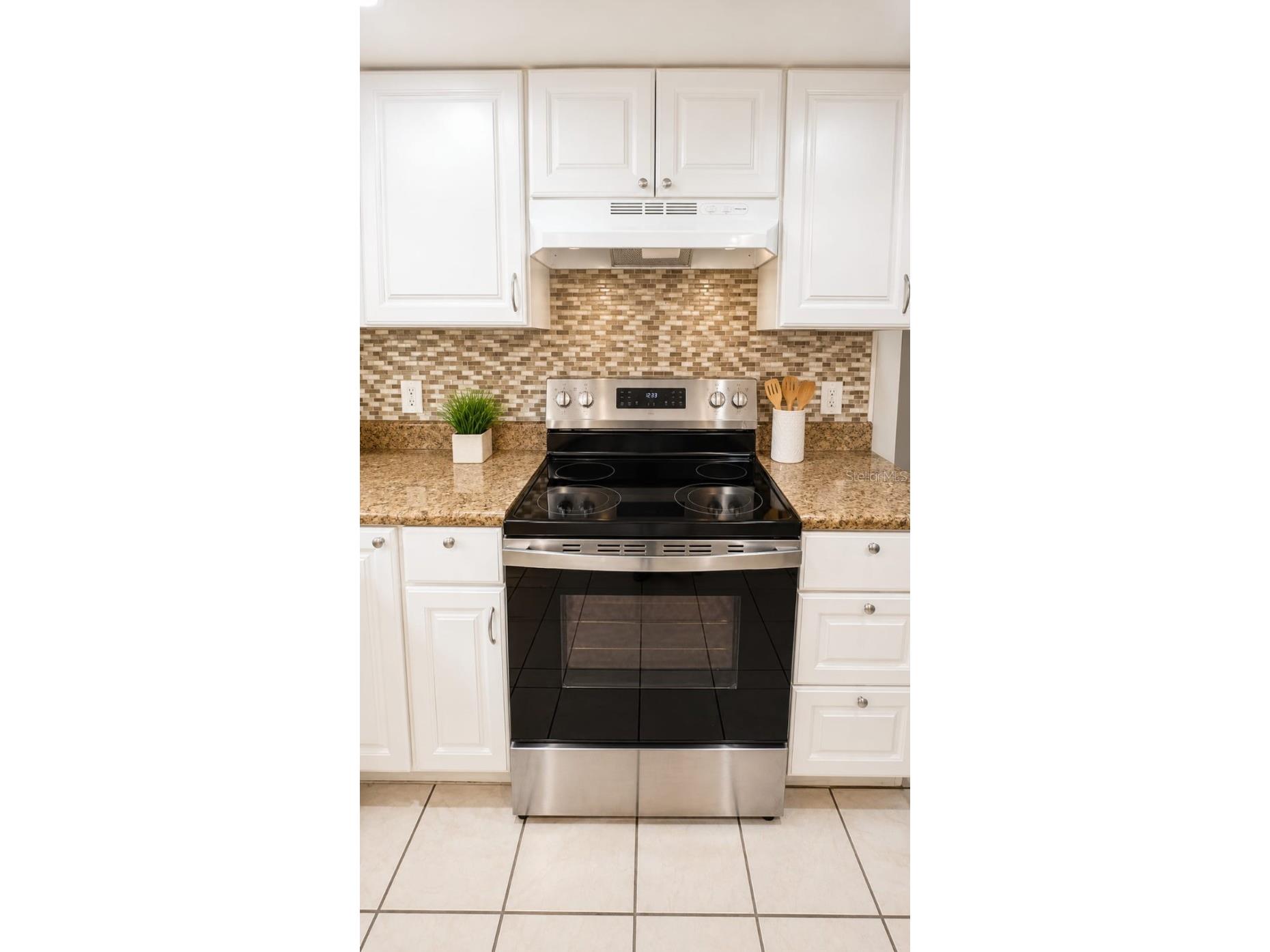 9919 Turf Court #3 Orlando FL 32837 S5149555 image4