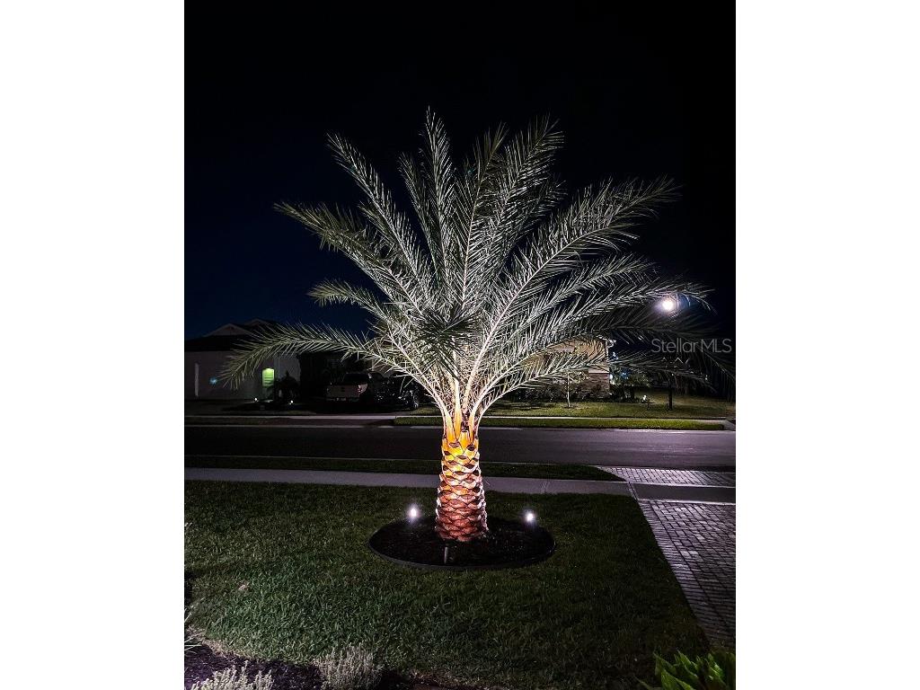 992 Great Belt Circle Melbourne FL 32940 O6326643 image46