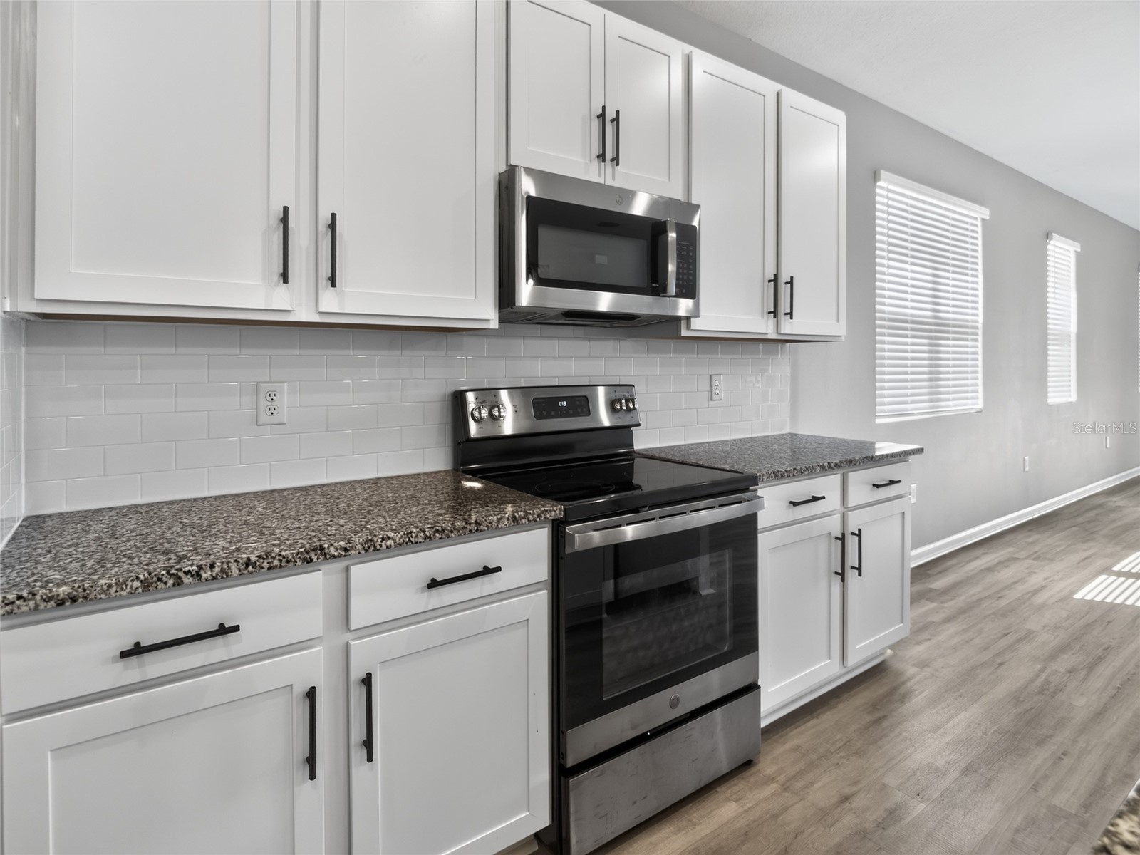 992 Griffon Avenue Lake Alfred FL 33850 O6423473 image9