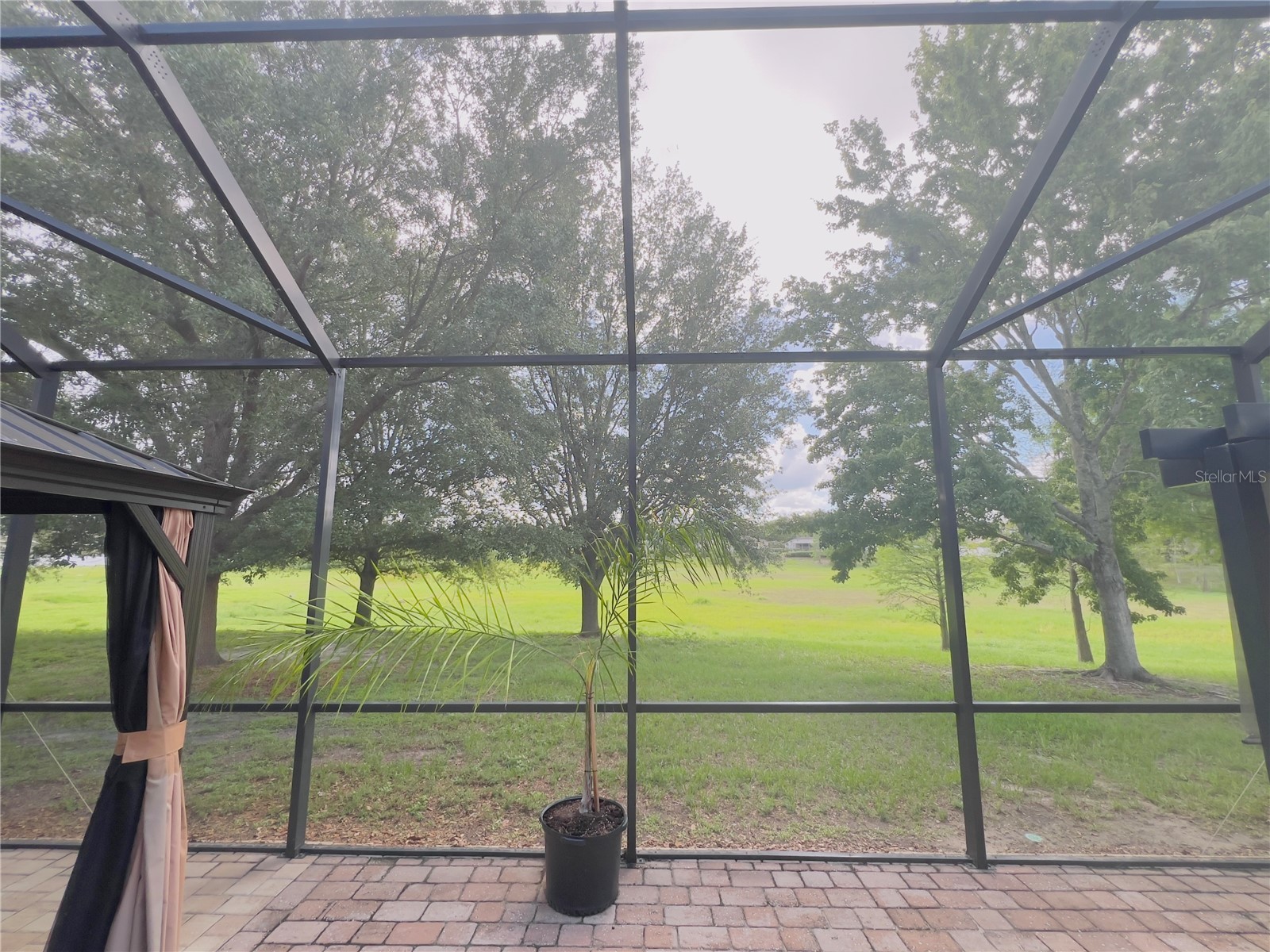 992 Nodding Shade Drive Brooksville FL 34604 TB8512881 image24