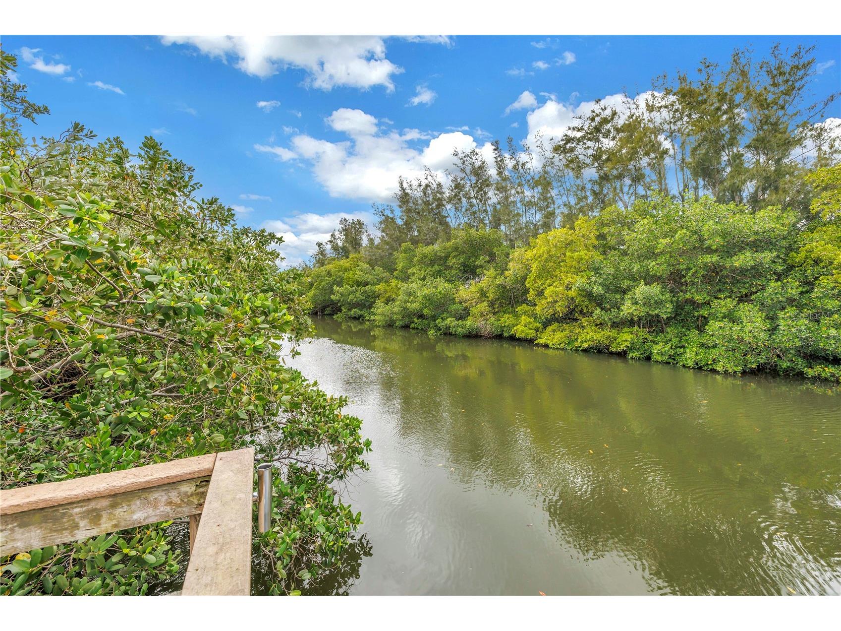 992 San Carlos Court NE Saint Petersburg FL 33702 TB8489863 image38