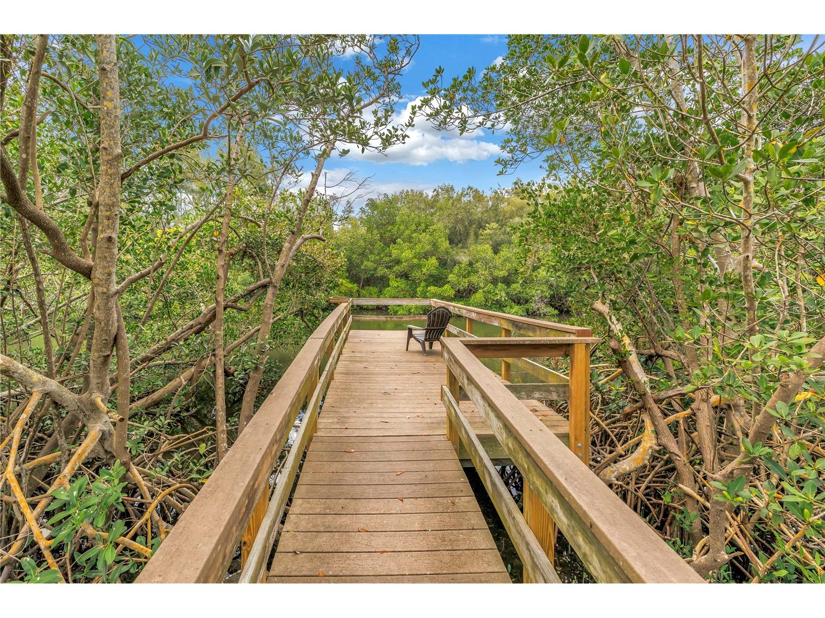 992 San Carlos Court NE Saint Petersburg FL 33702 TB8489863 image40