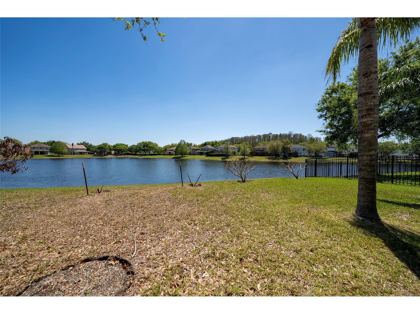 9920 Chorlton Circle Orlando FL 32832 S5146038 image6