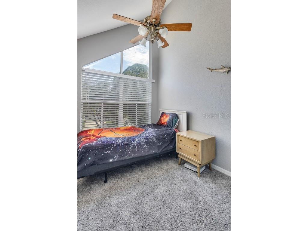 9920 Indian Key Trail #29 Seminole FL 33776 TB8347572 image28