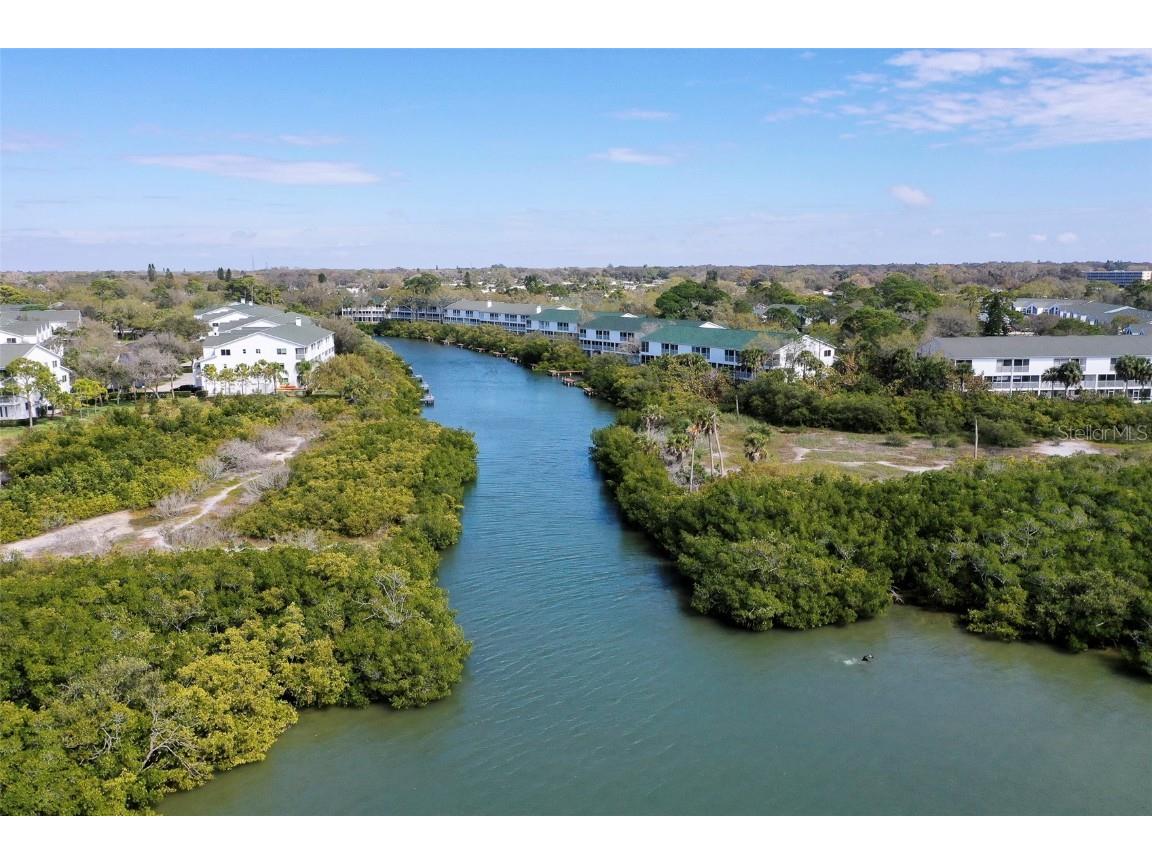 9920 Indian Key Trail #29 Seminole FL 33776 TB8347572 image51