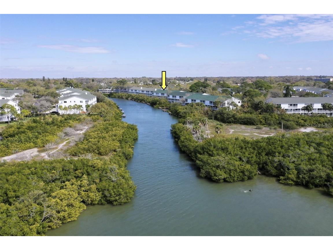 9920 Indian Key Trail #29 Seminole FL 33776 TB8347572 image52