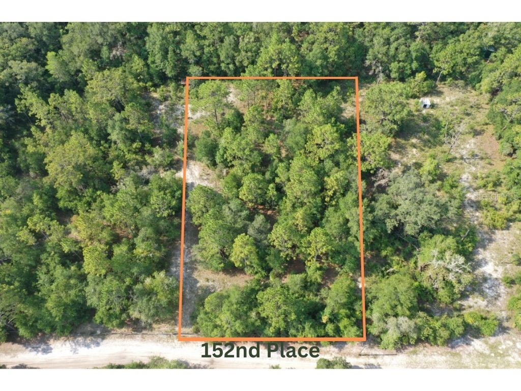 9920 SW 152nd Place Dunnellon FL 34432 O6127524 image1