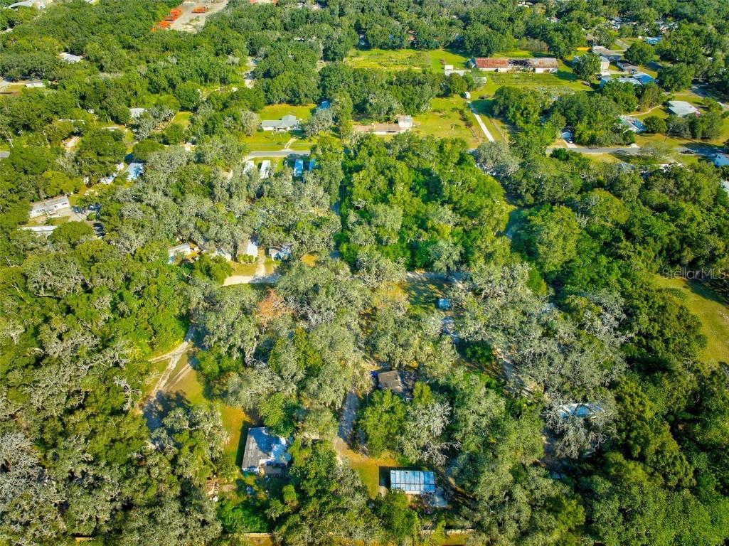 9921 Carl Street Tampa FL 33610 T3483631 image1